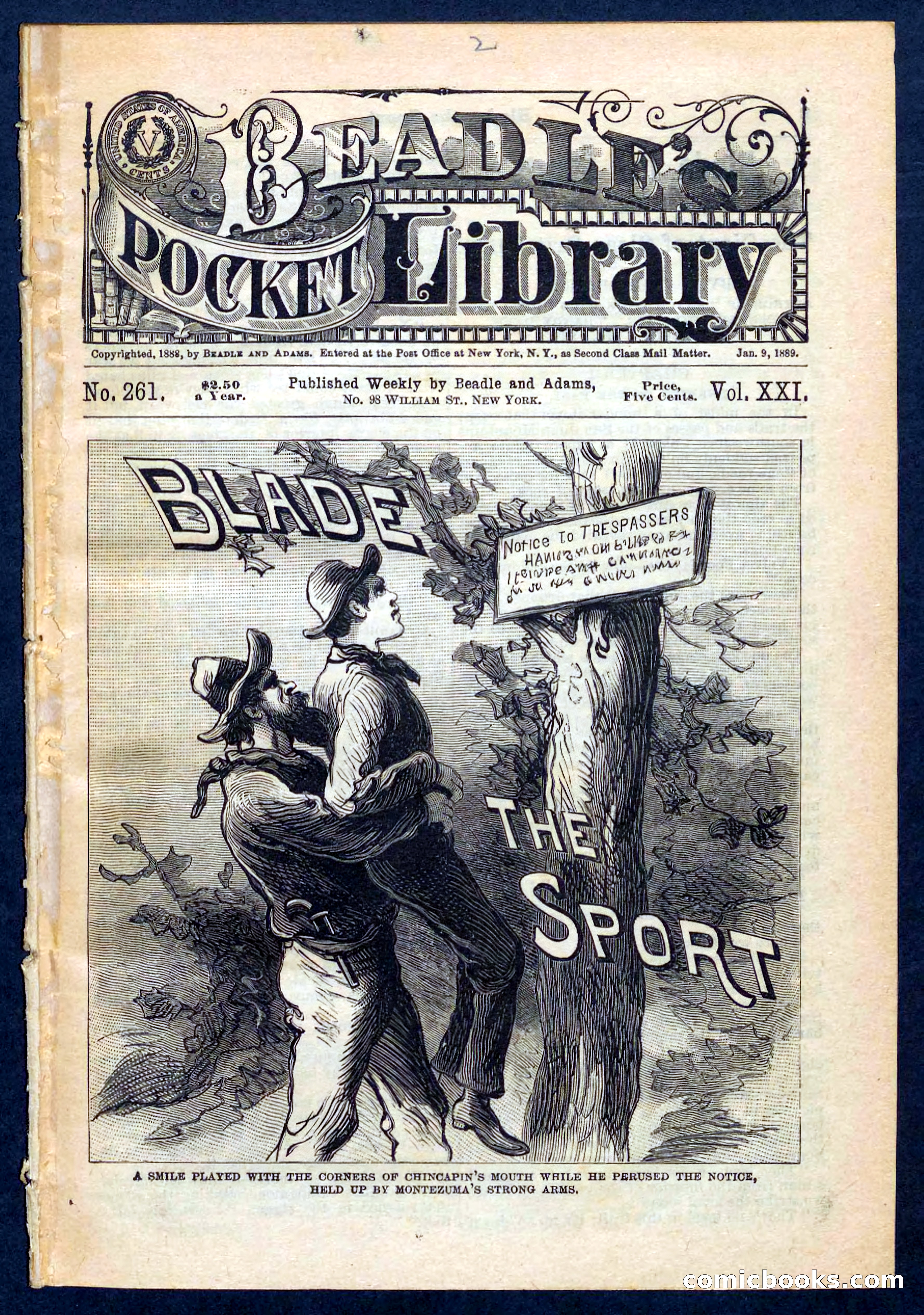 Beadle's Pocket Library No. 261