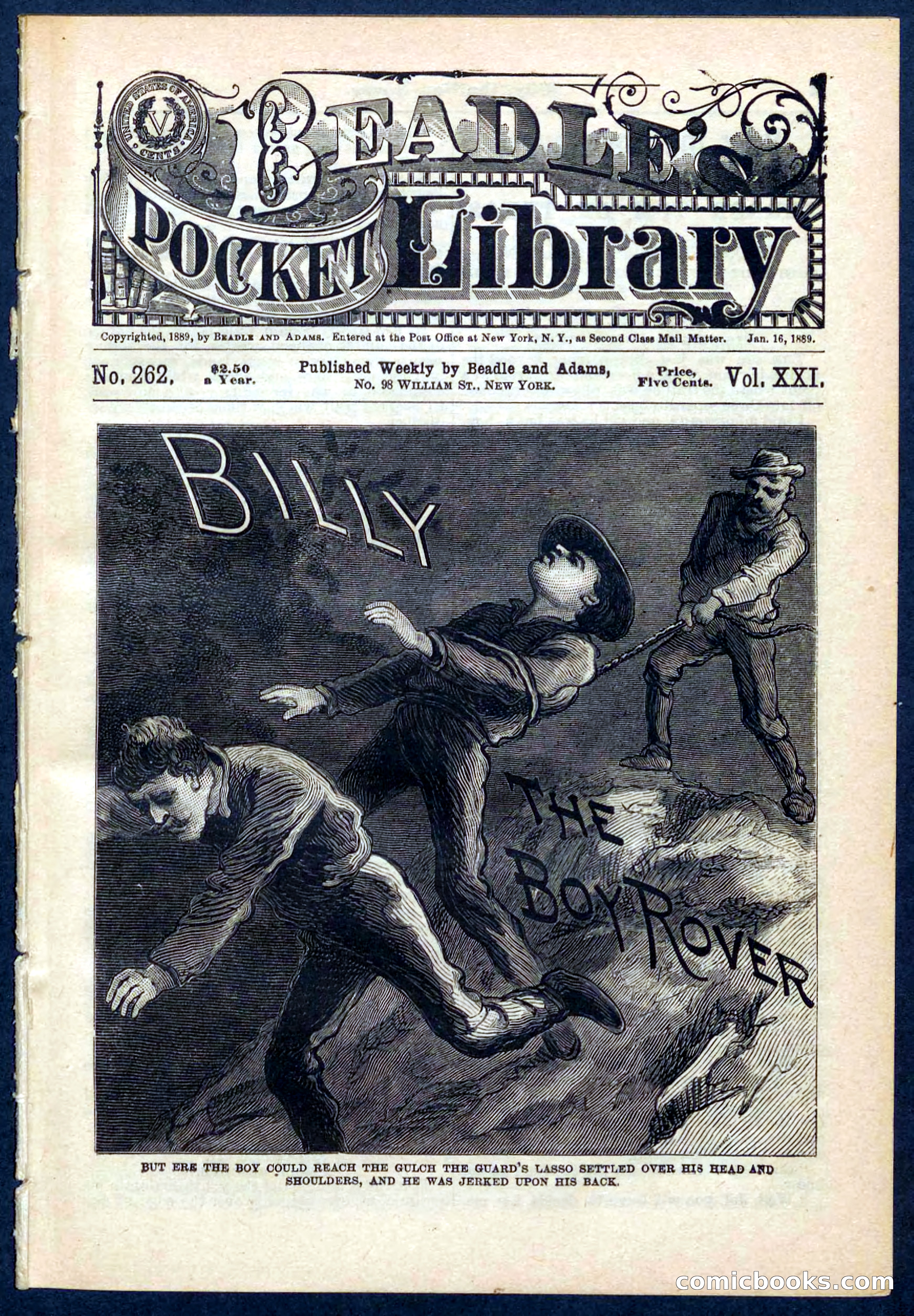 Beadle's Pocket Library No. 262