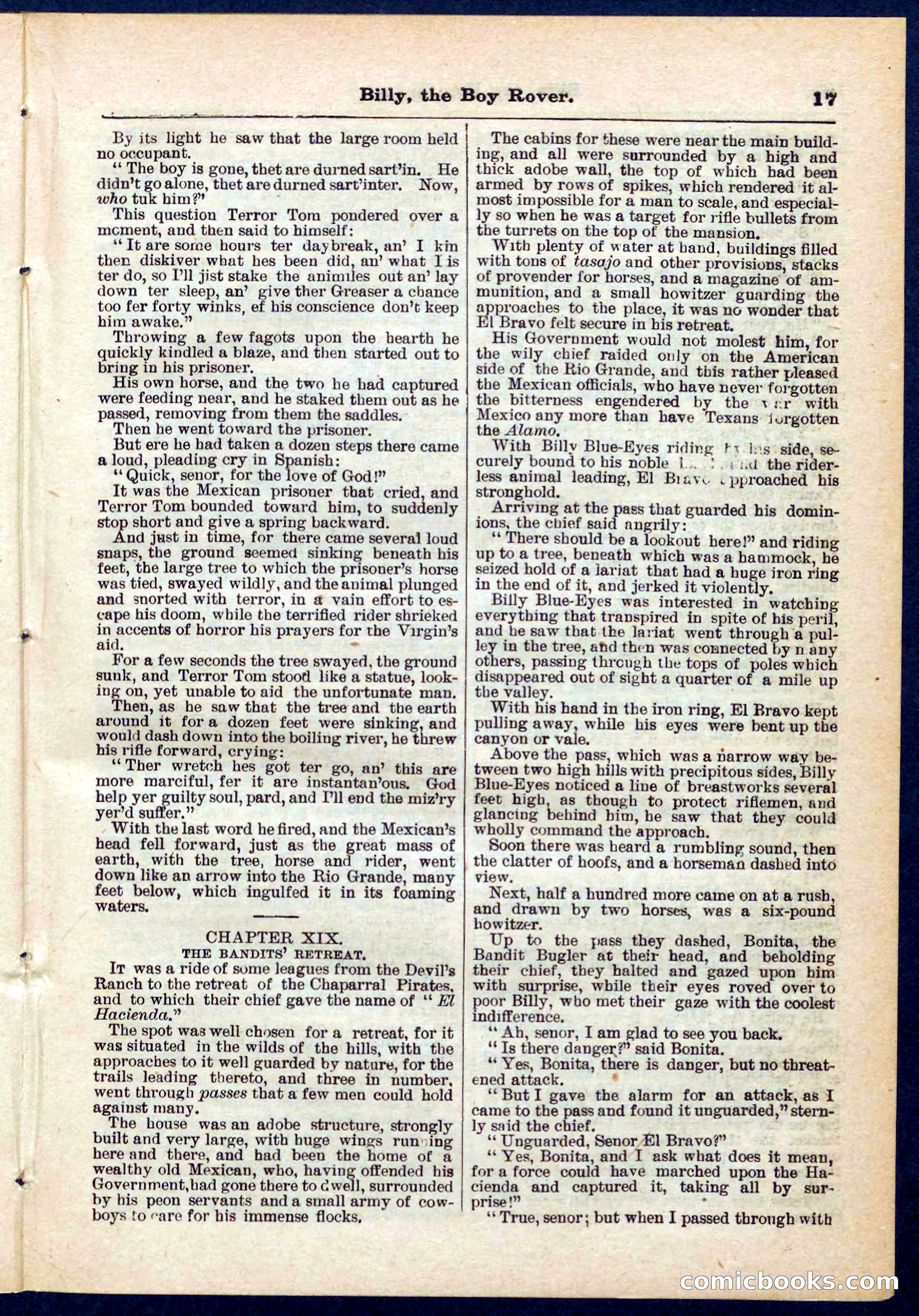 Beadle's Pocket Library No. 262 — page 17 of 32