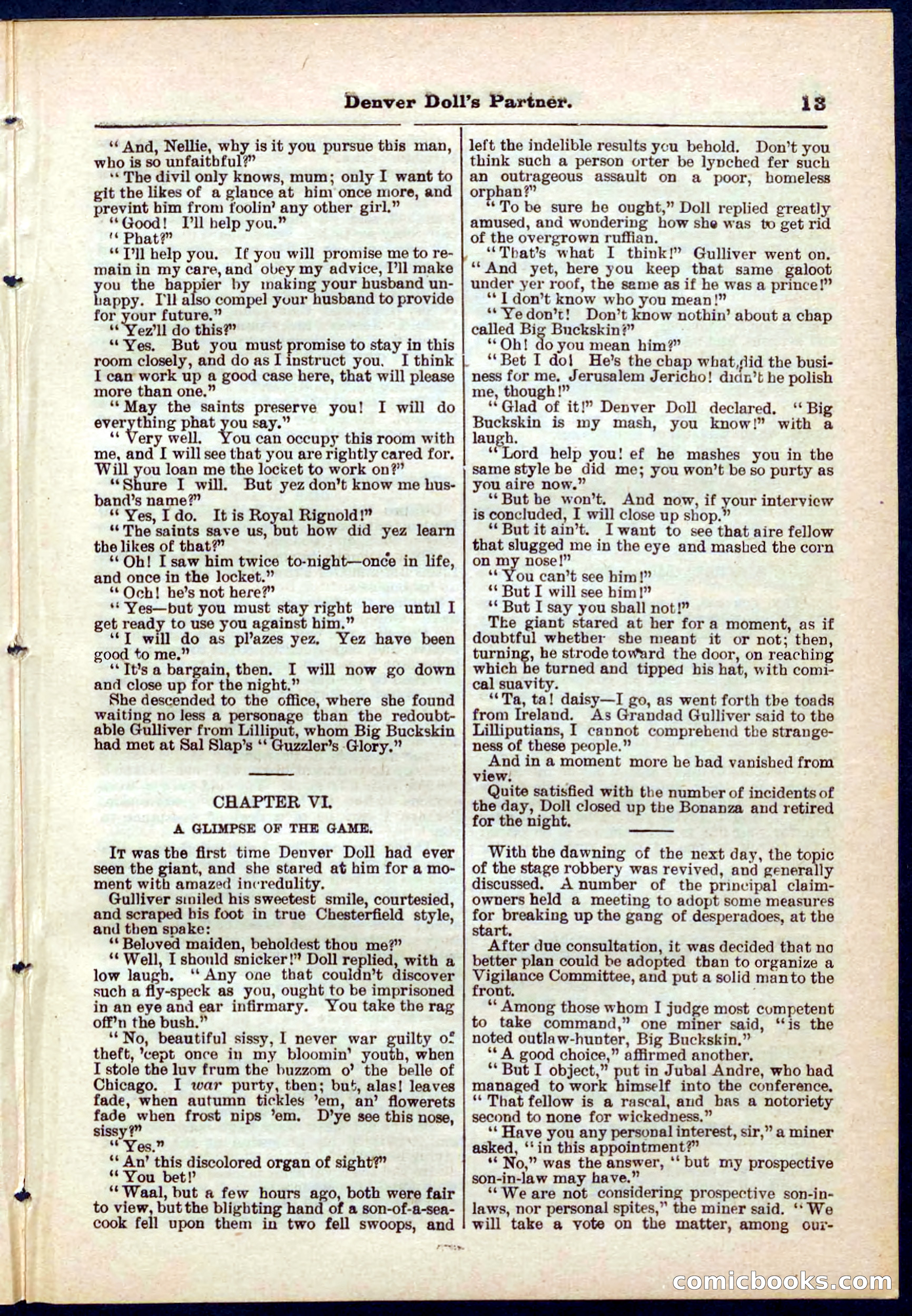 Beadle's Pocket Library No. 264 — page 13 of 32