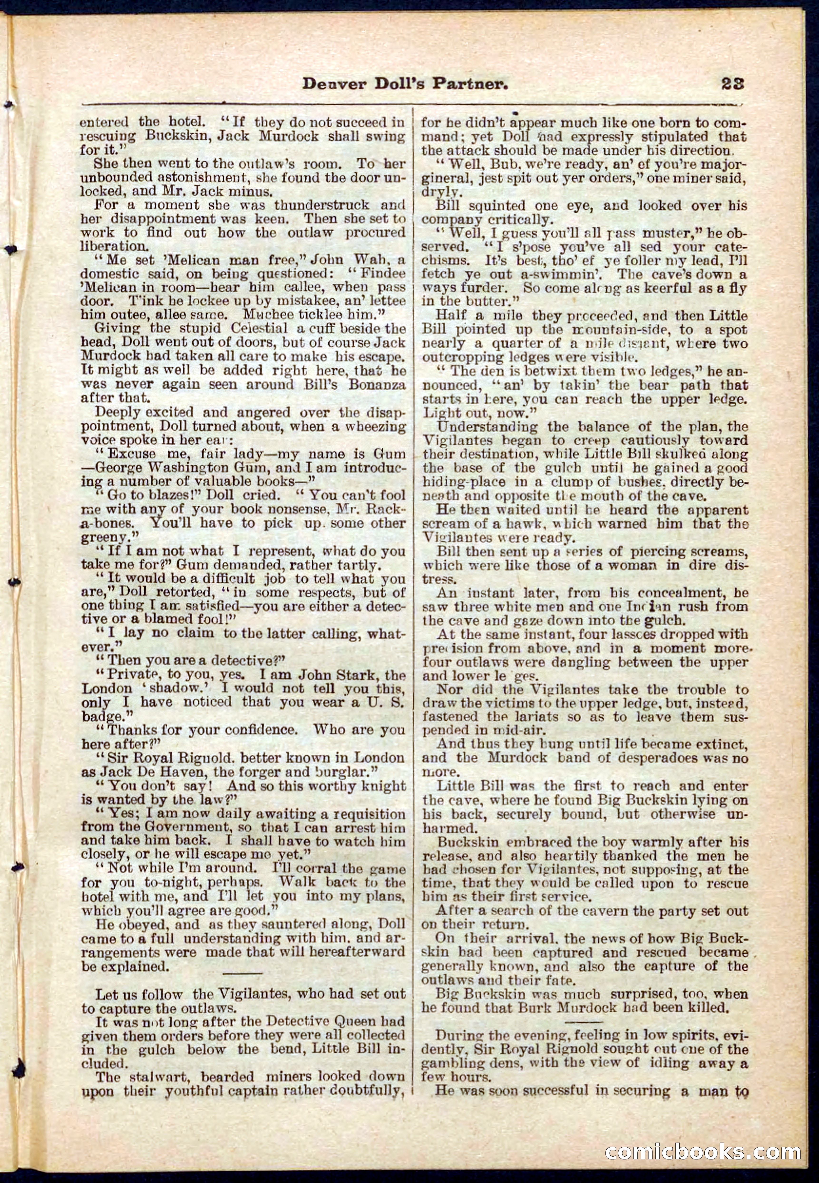 Beadle's Pocket Library No. 264 — page 23 of 32