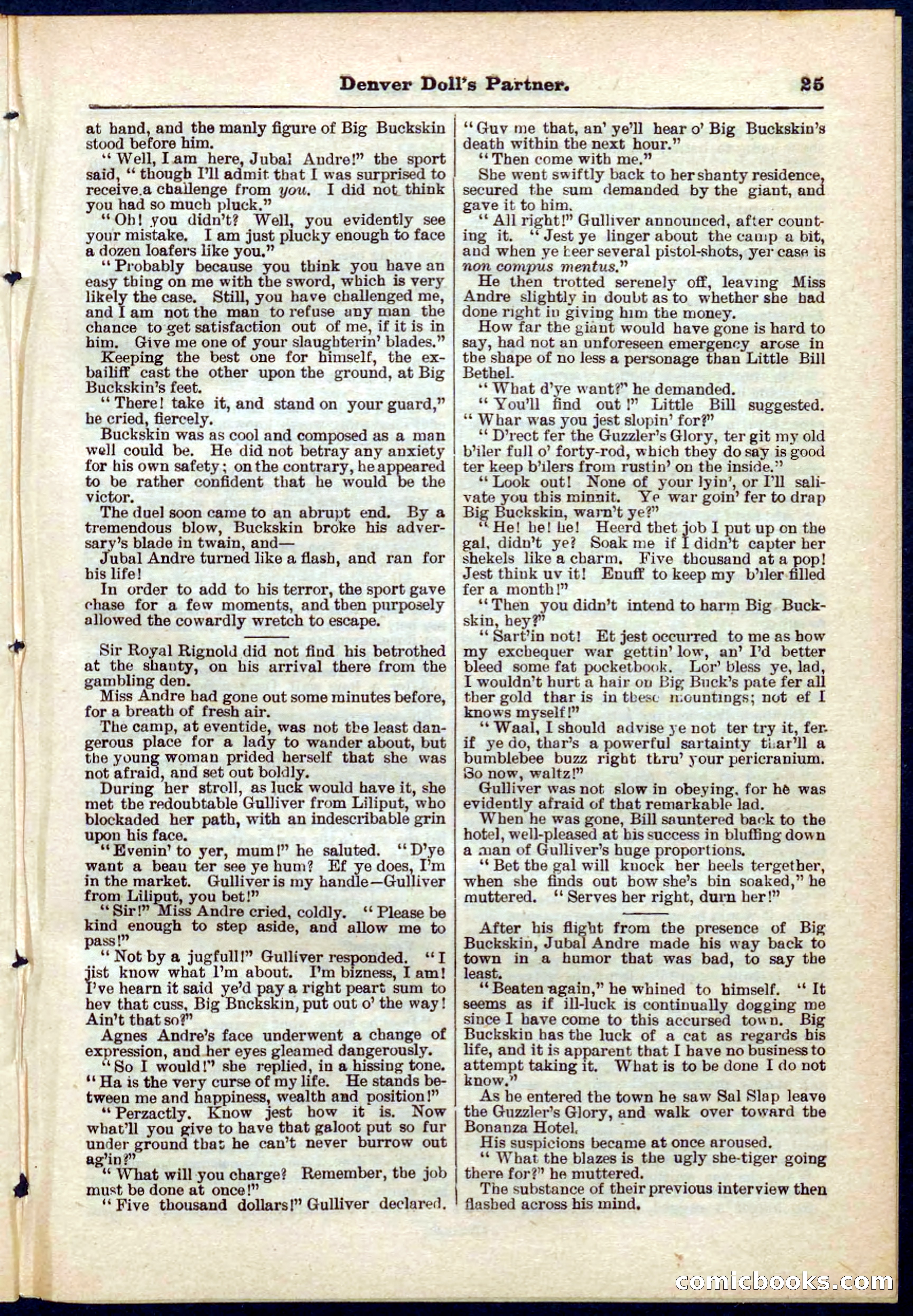 Beadle's Pocket Library No. 264 — page 25 of 32
