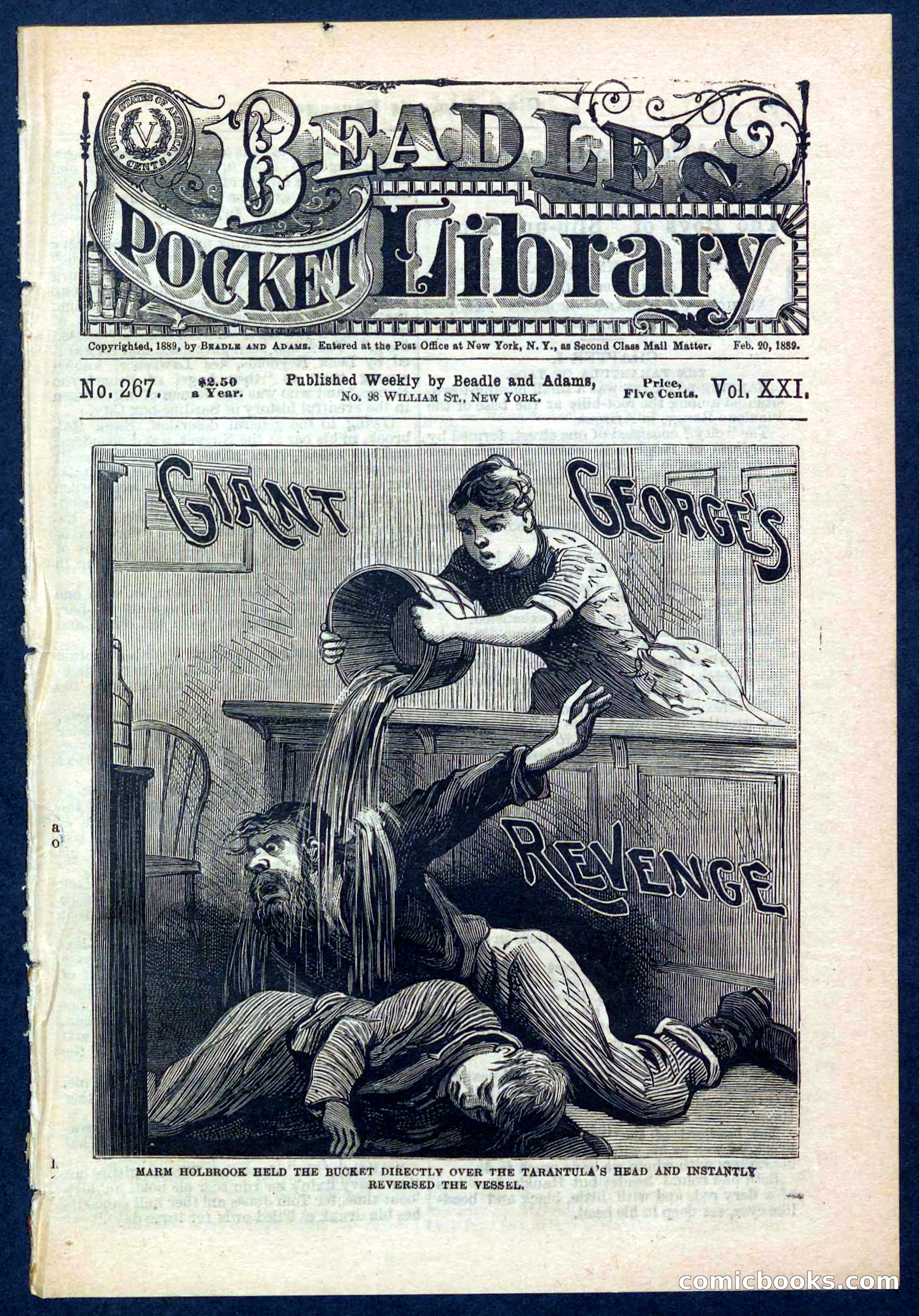 Beadle's Pocket Library No. 267