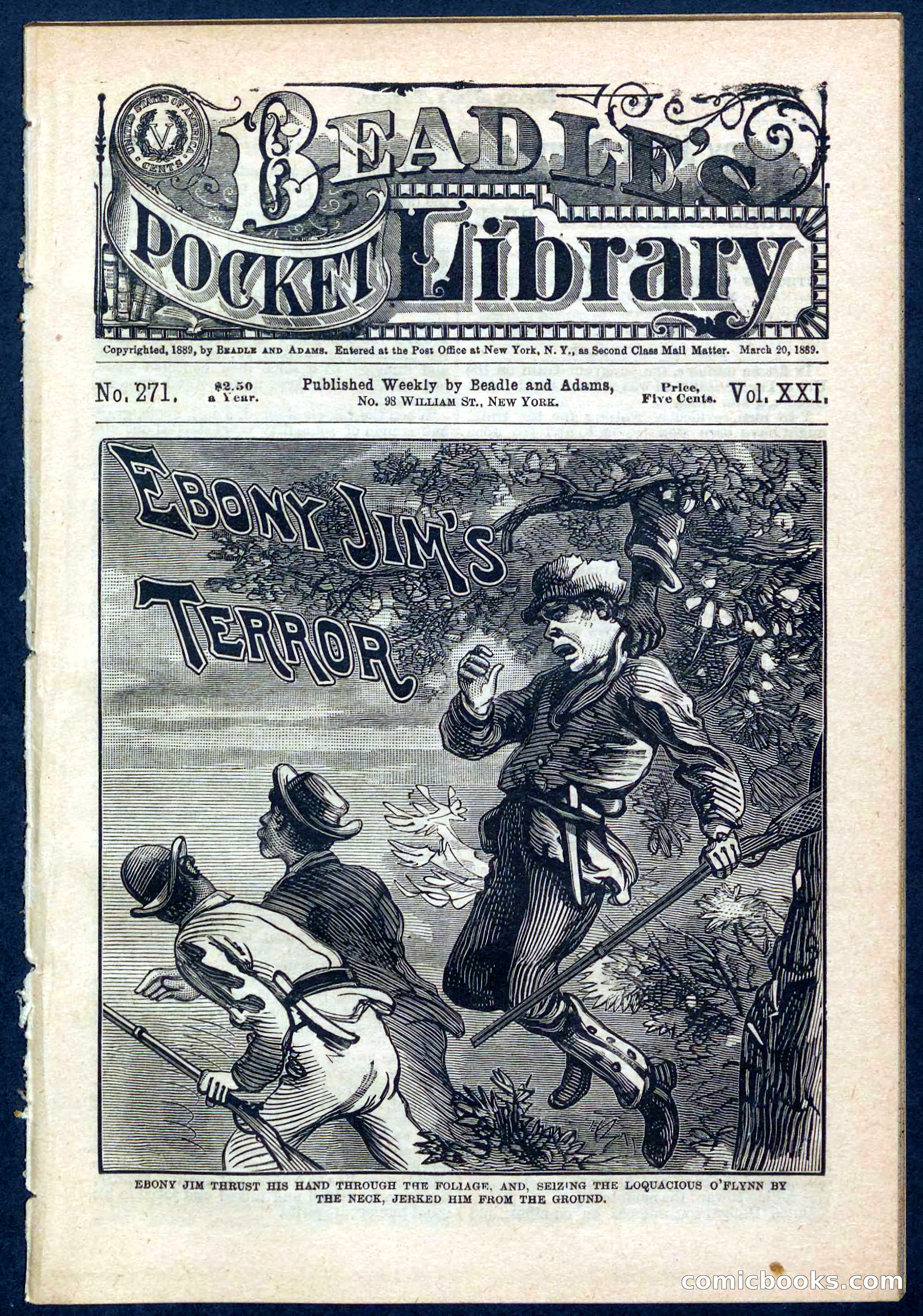 Beadle's Pocket Library No. 271