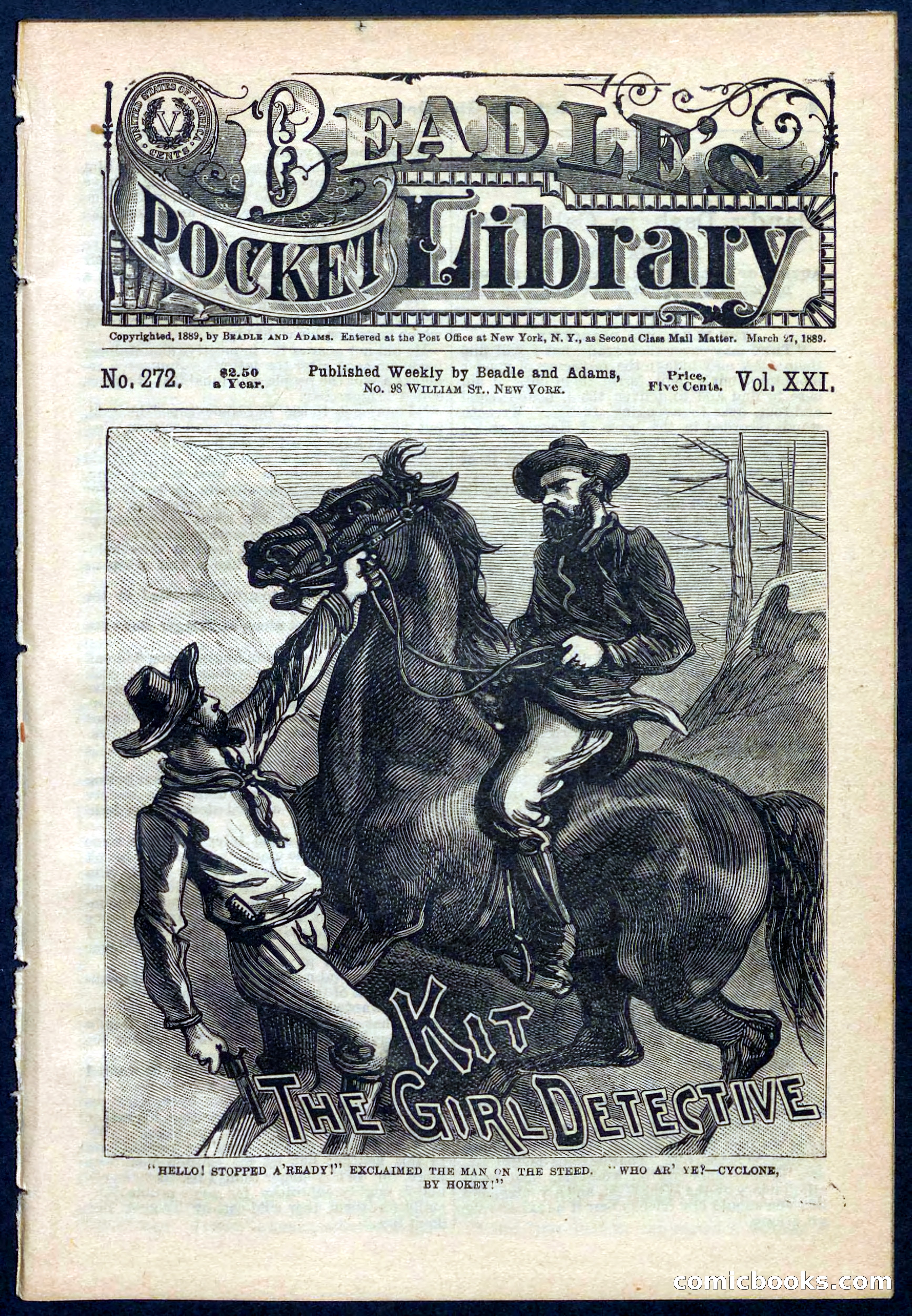 Beadle's Pocket Library No. 272