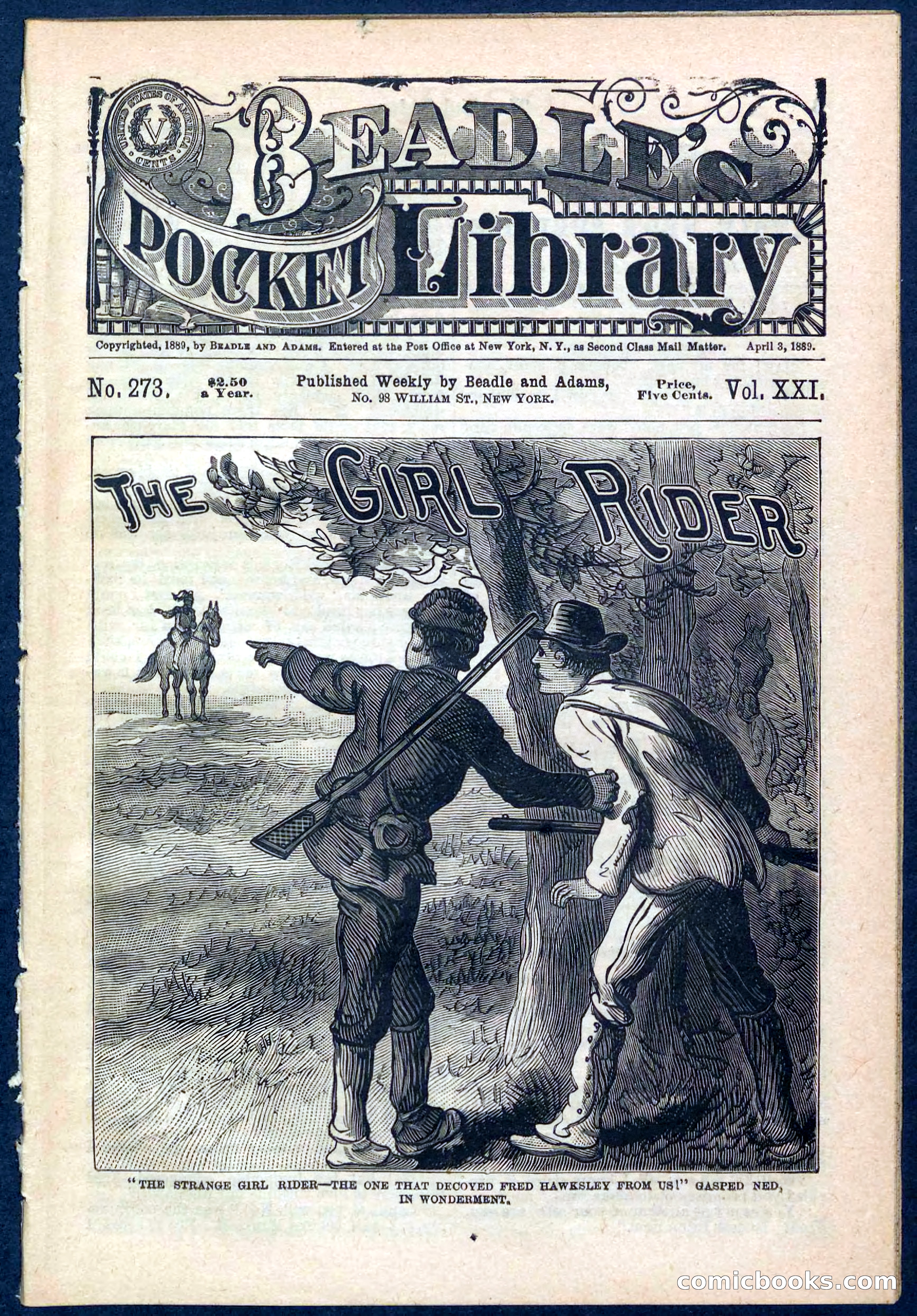 Beadle's Pocket Library No. 273