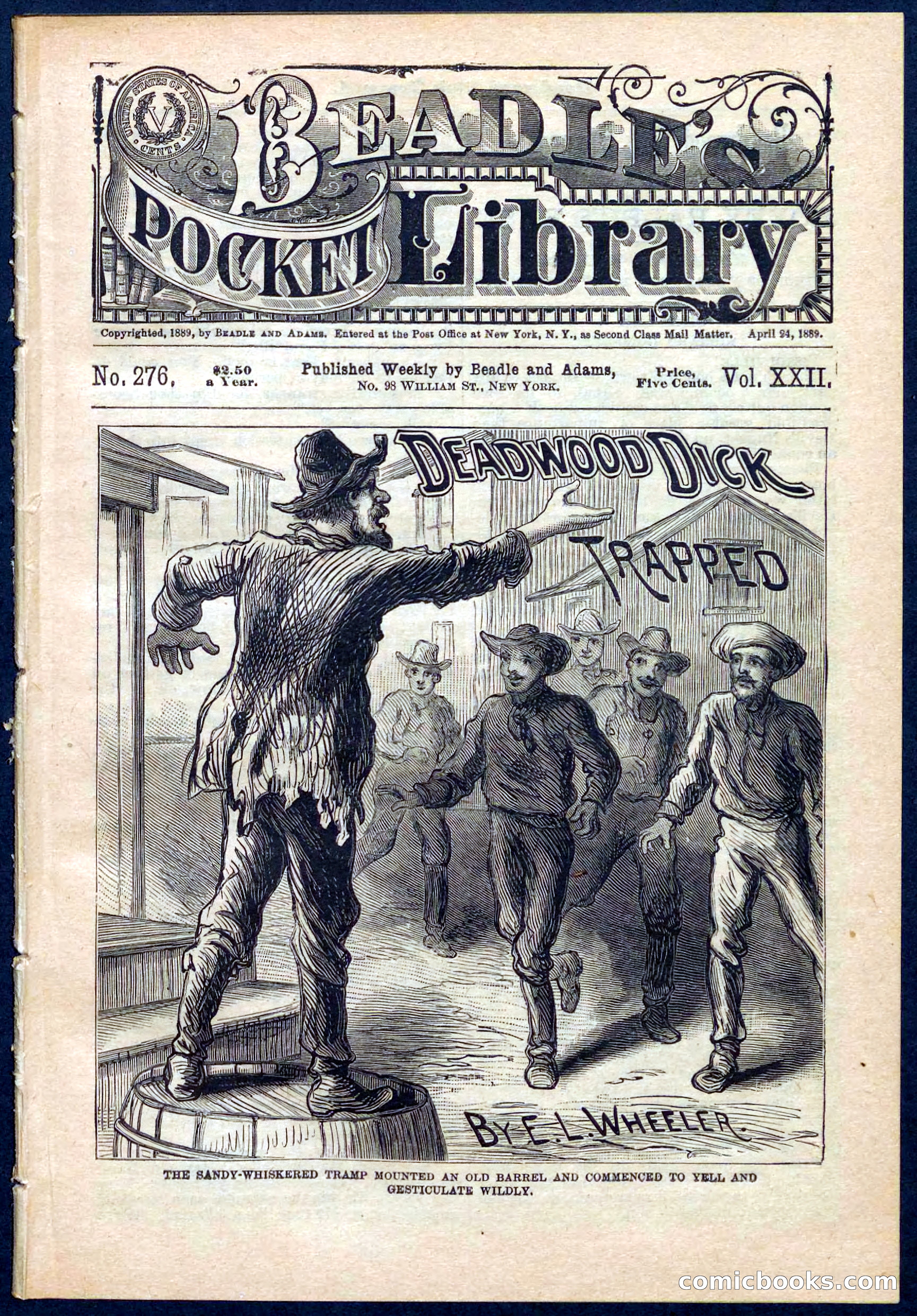 Beadle's Pocket Library No. 276