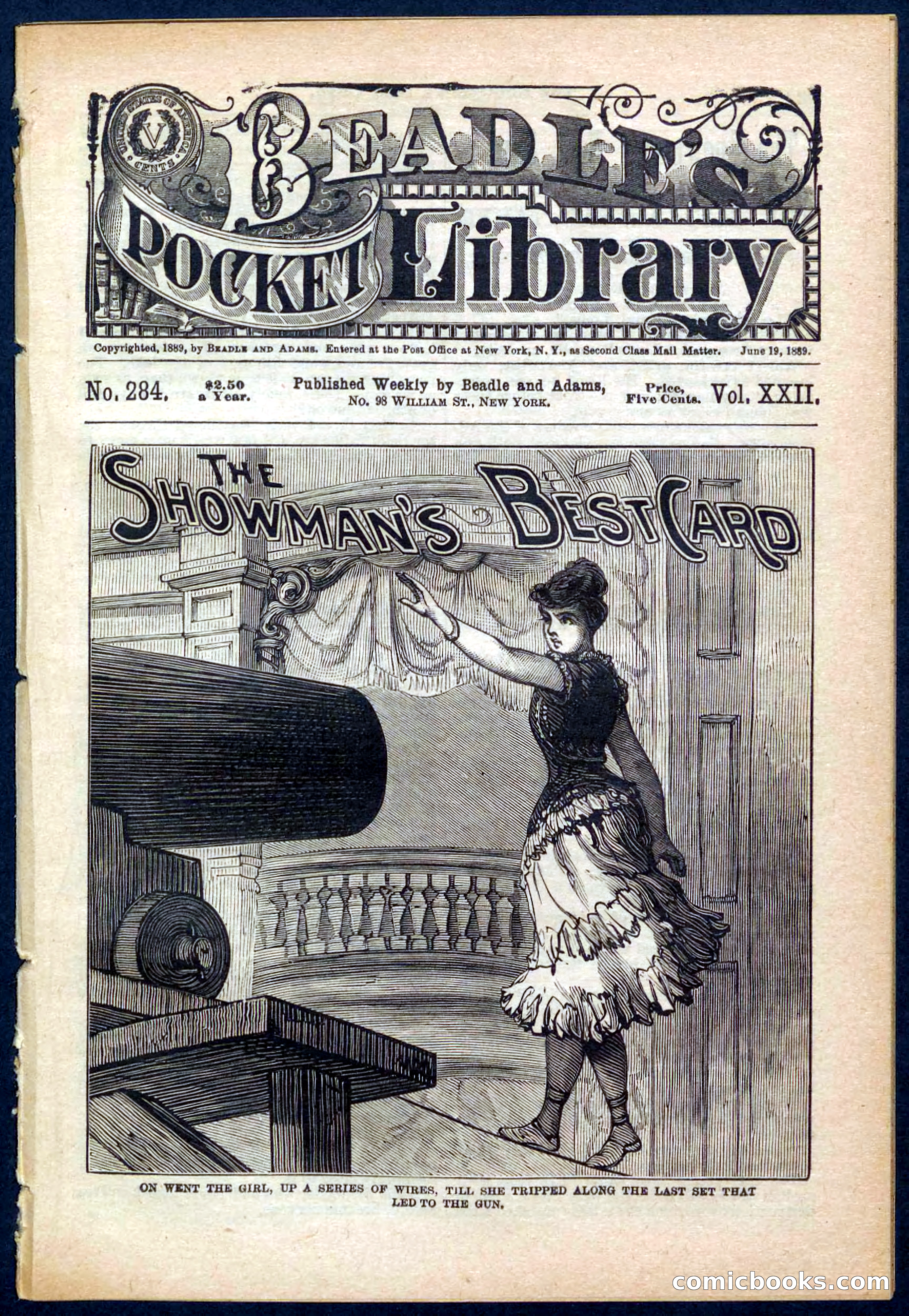 Beadle's Pocket Library No. 284