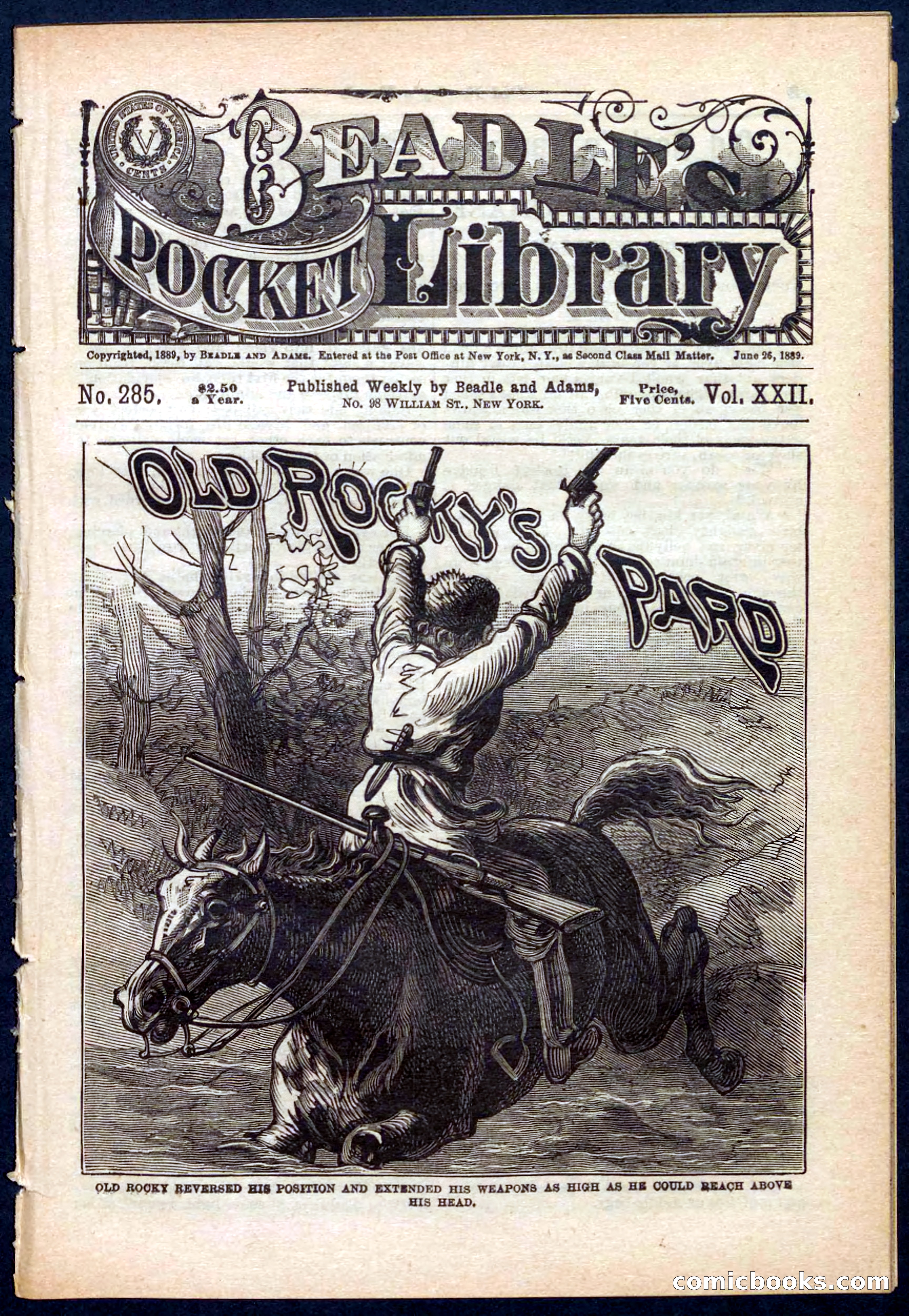Beadle's Pocket Library No. 285