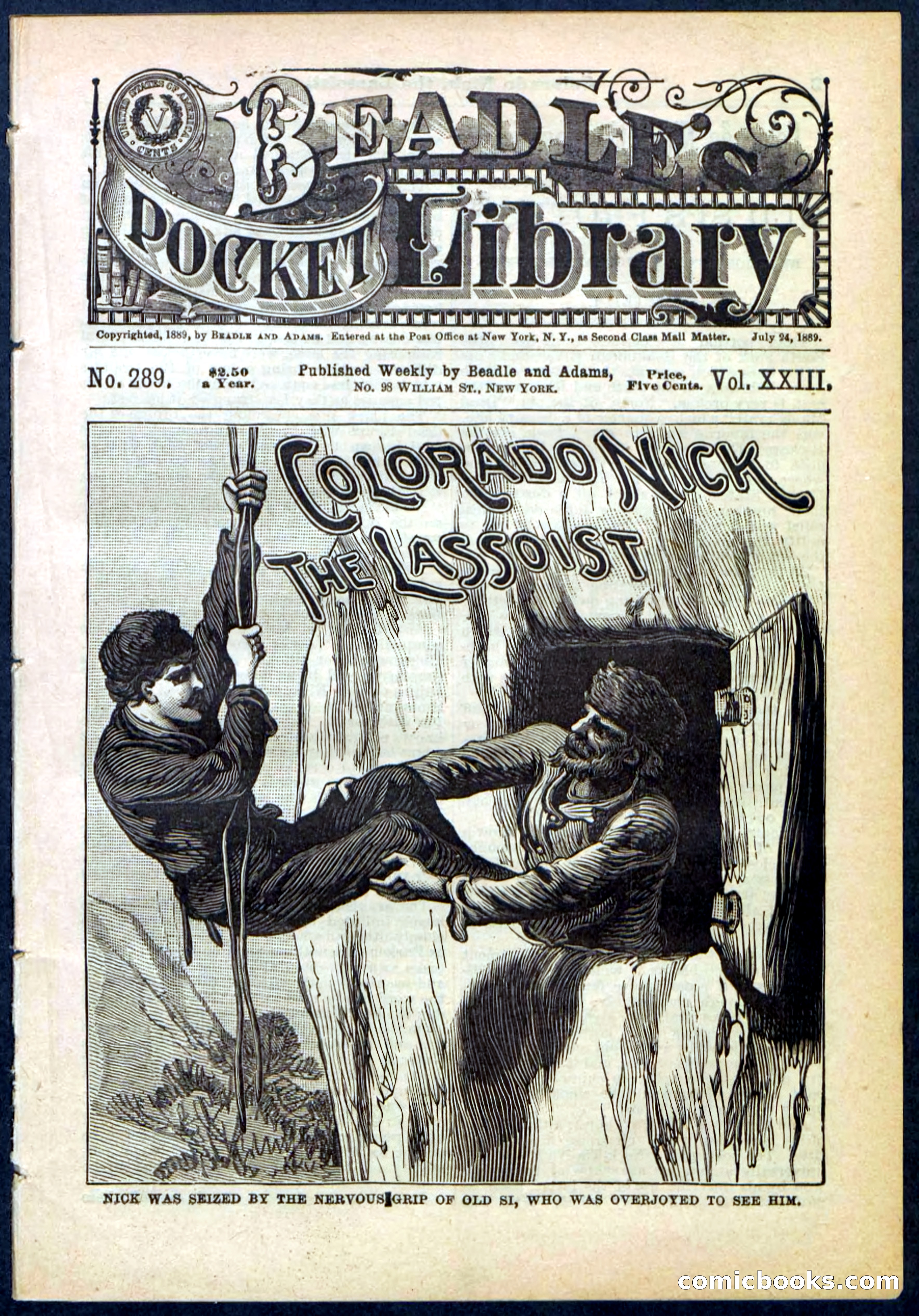 Beadle's Pocket Library No. 289