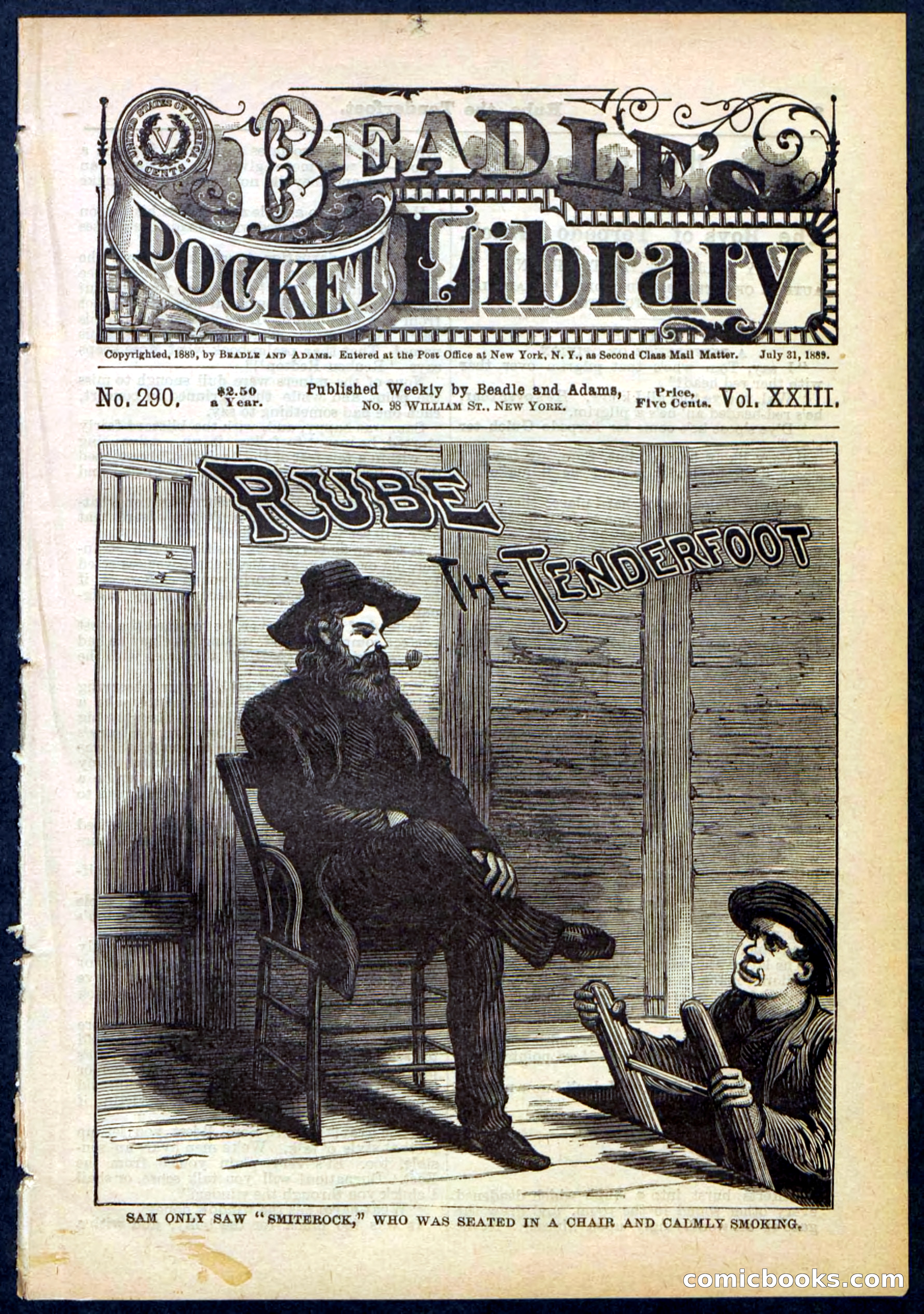 Beadle's Pocket Library No. 290