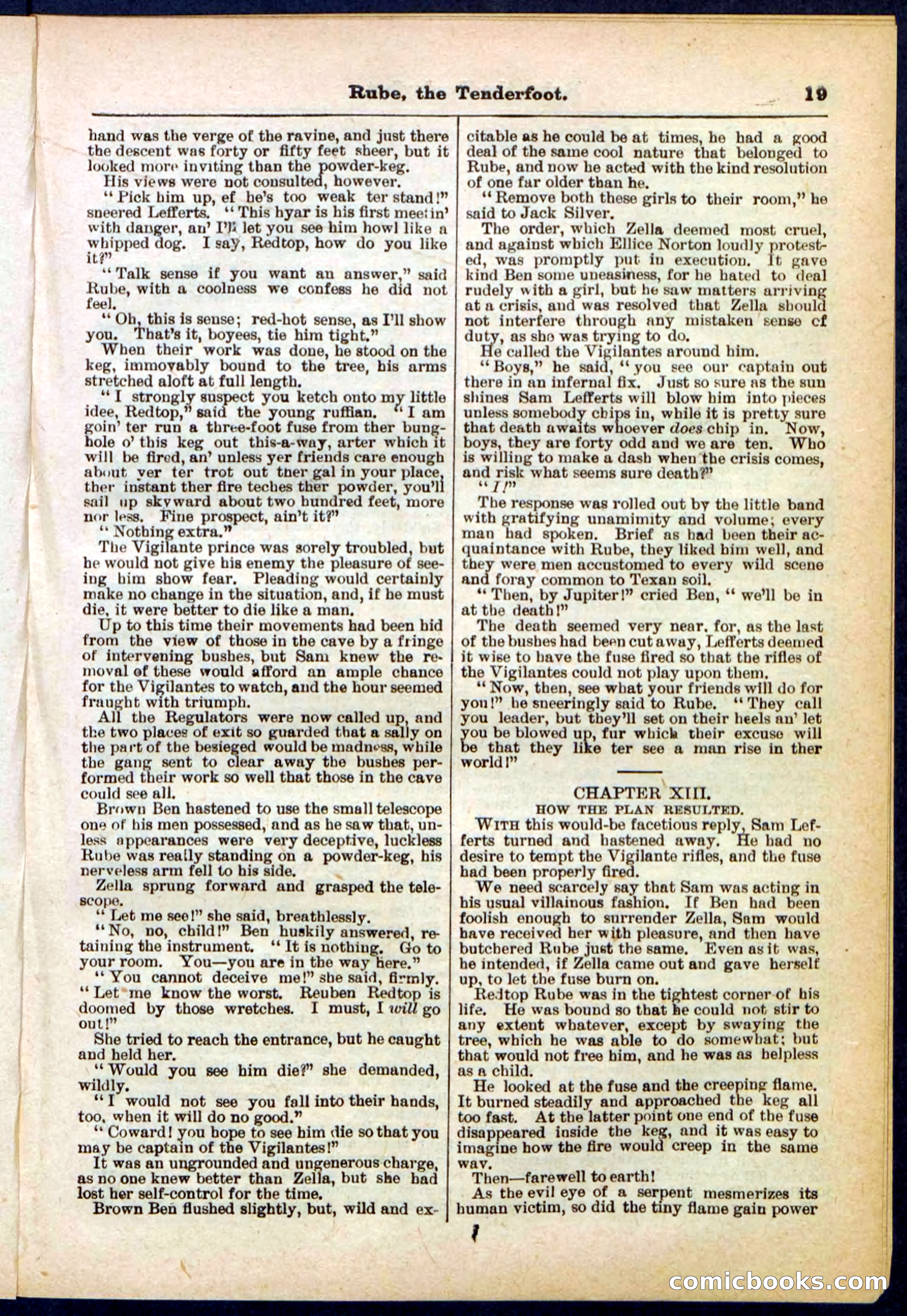 Beadle's Pocket Library No. 290 — page 19 of 32