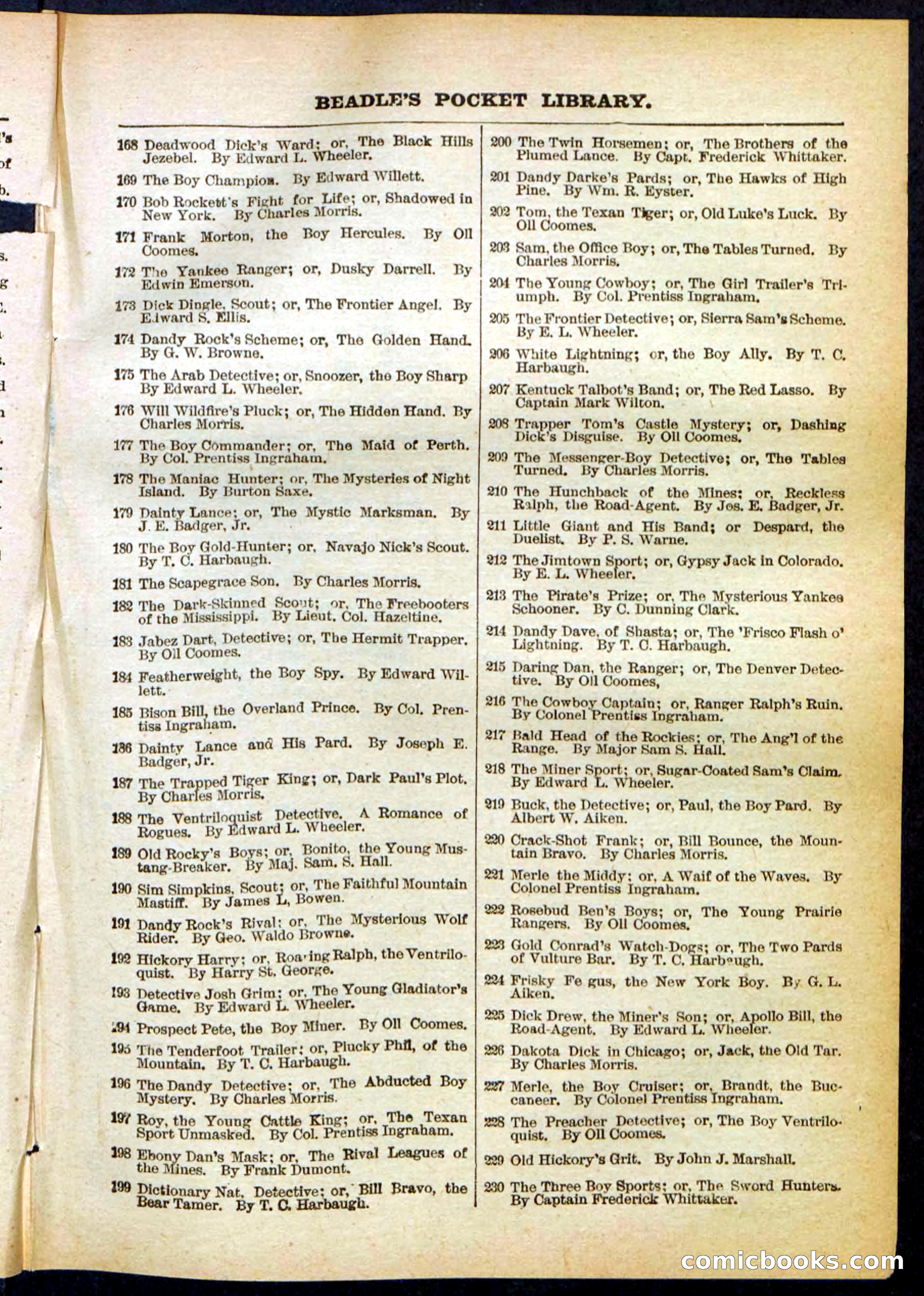 Beadle's Pocket Library No. 290 — page 31 of 32