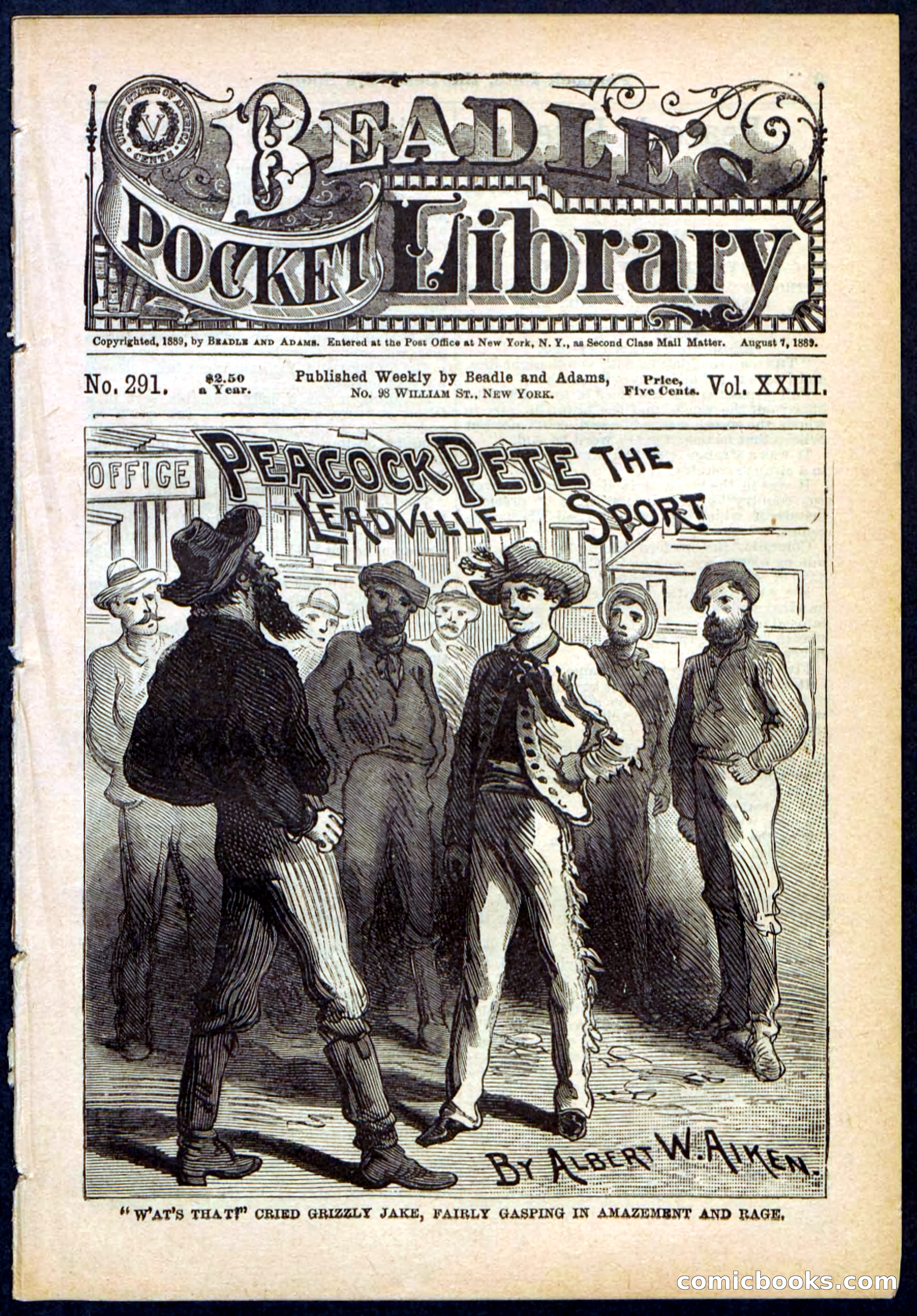 Beadle's Pocket Library No. 291