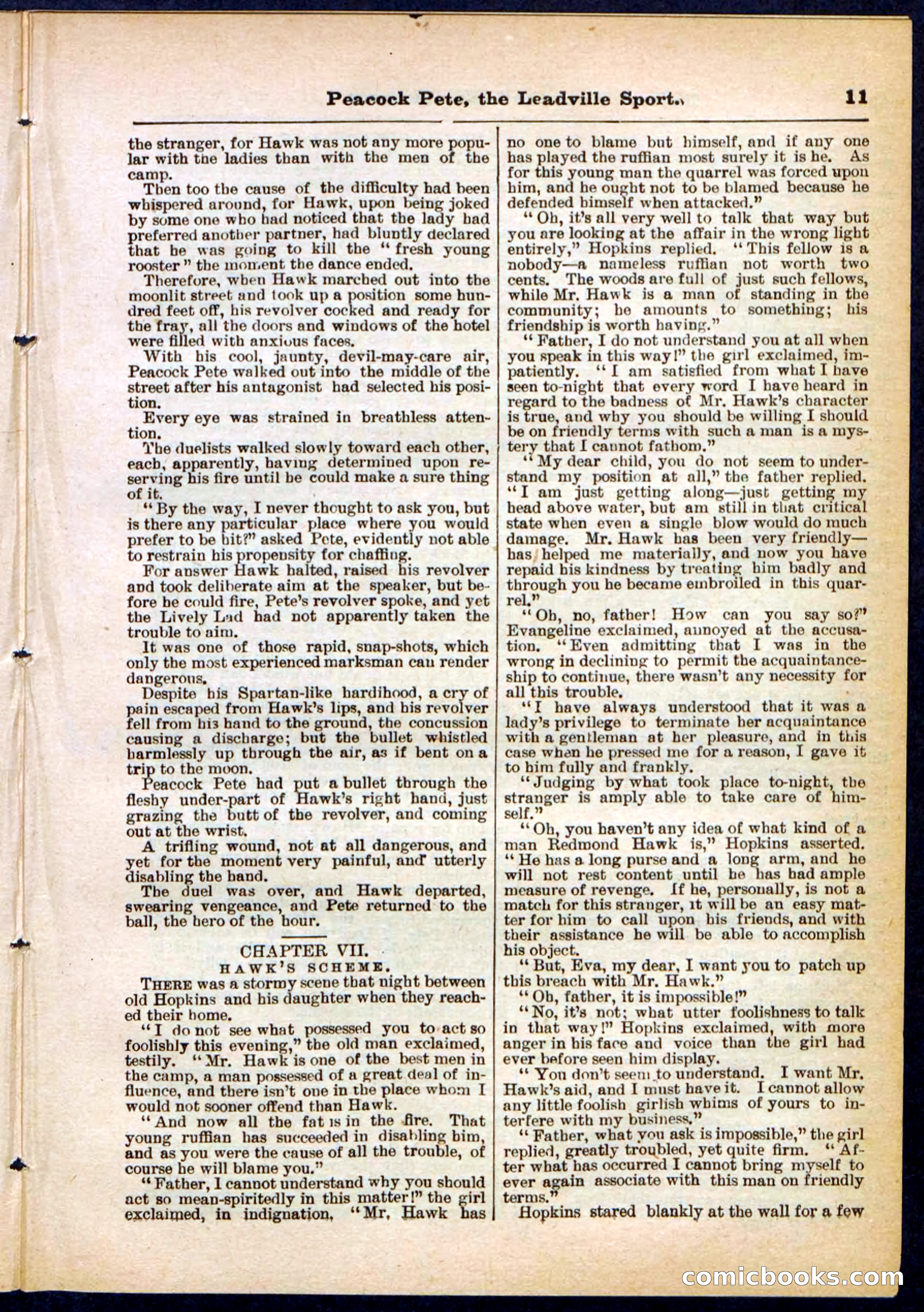 Beadle's Pocket Library No. 291 — page 11 of 32