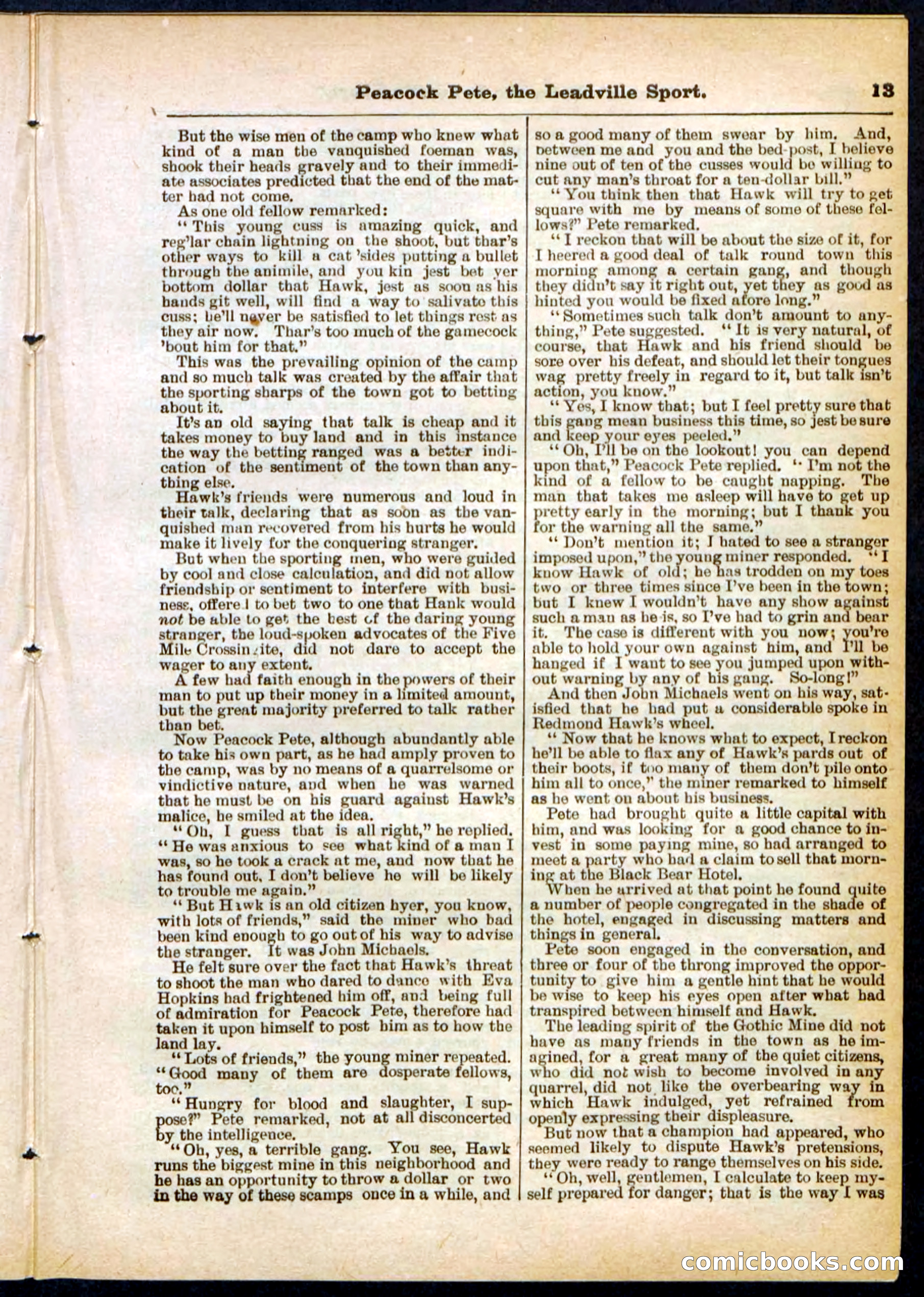 Beadle's Pocket Library No. 291 — page 13 of 32