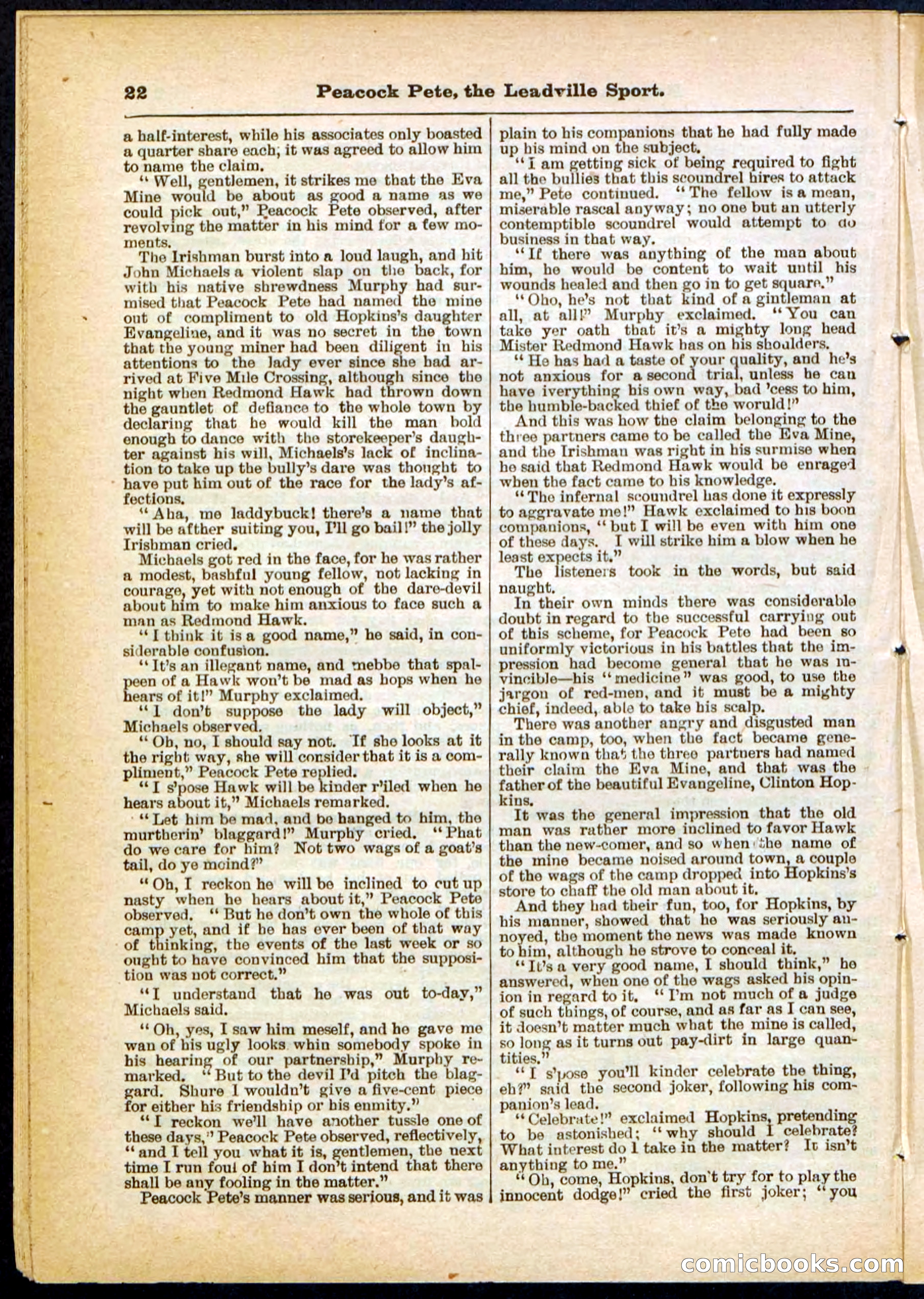 Beadle's Pocket Library No. 291 — page 22 of 32