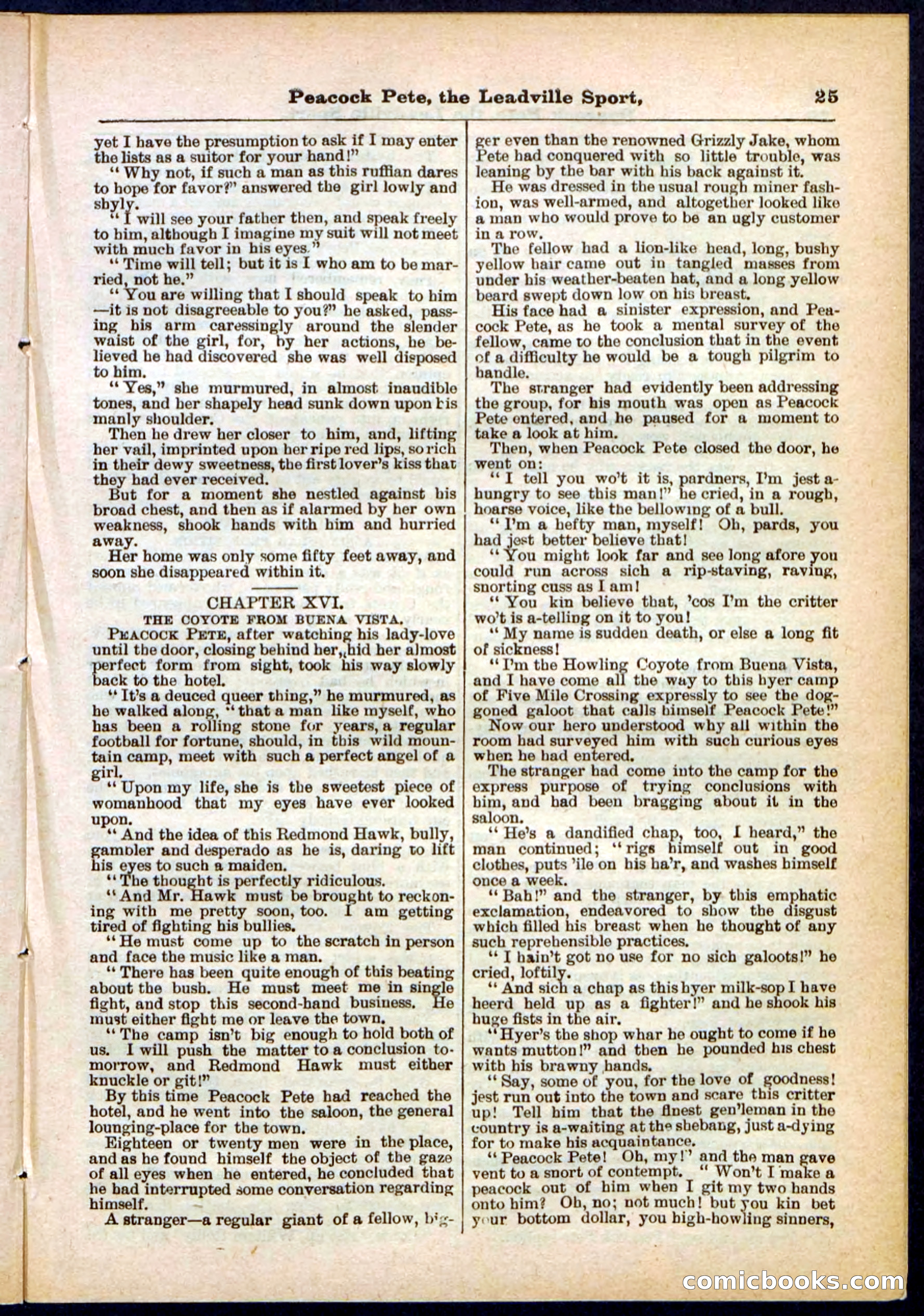 Beadle's Pocket Library No. 291 — page 25 of 32