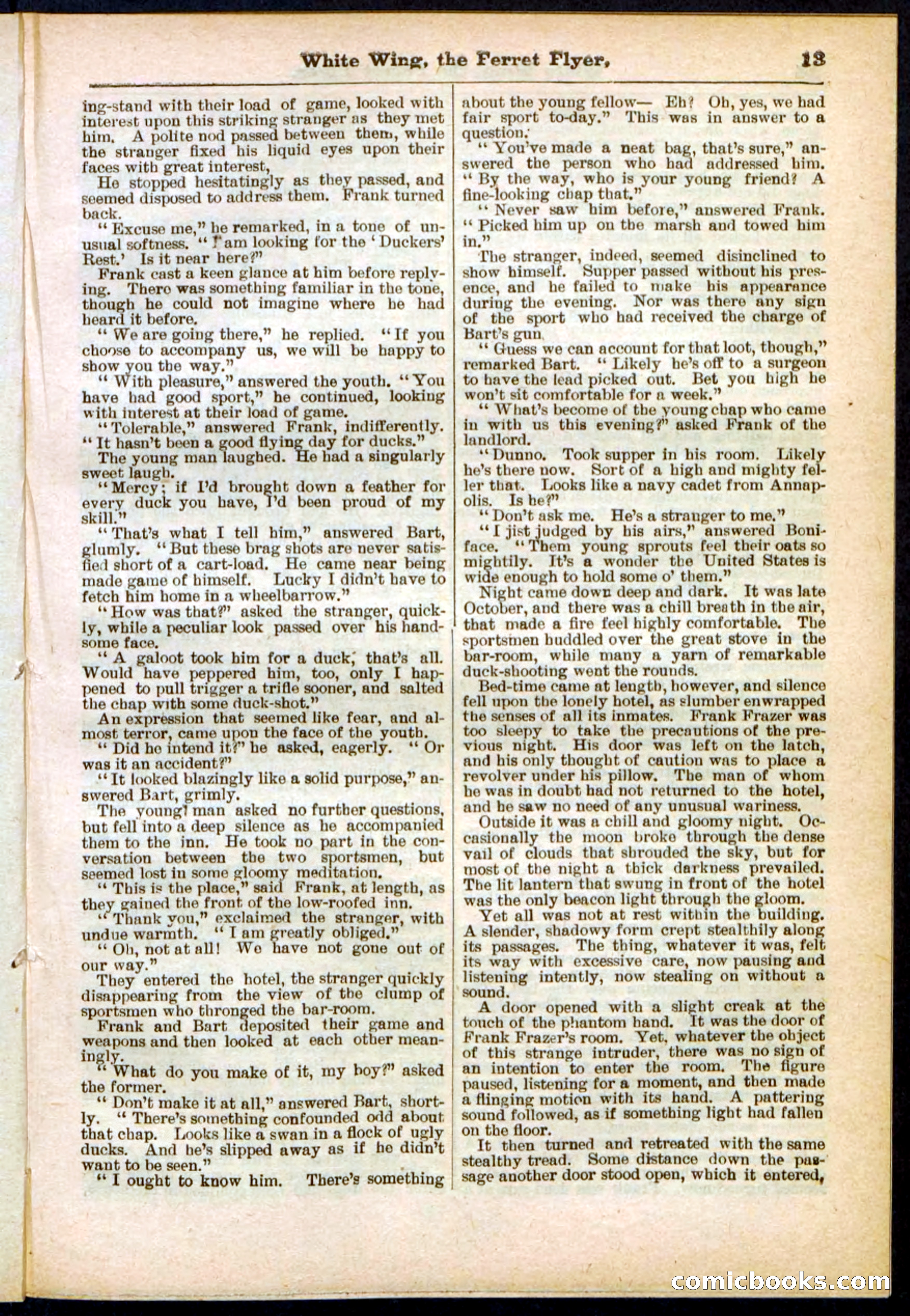 Beadle's Pocket Library No. 295 — page 13 of 32