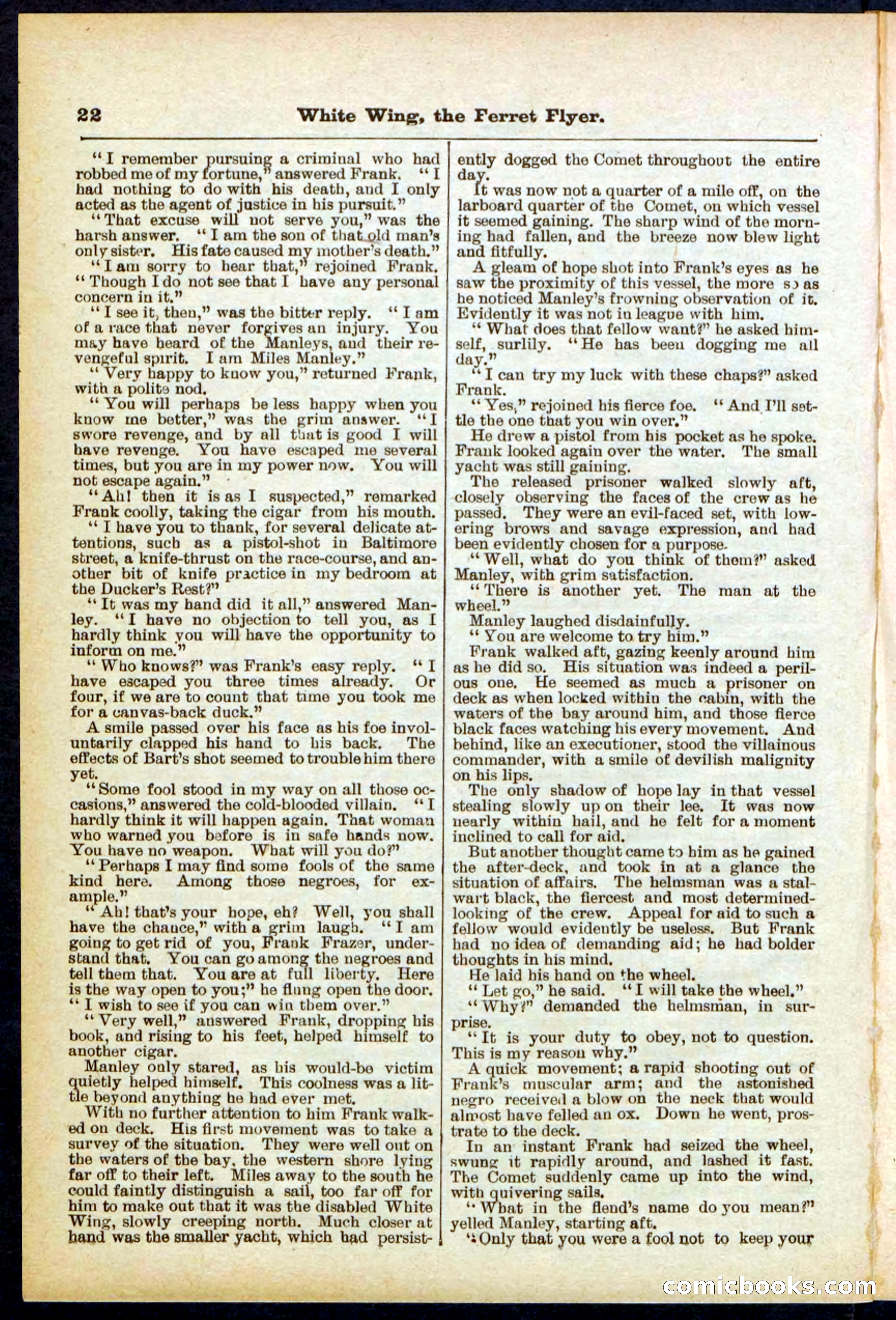 Beadle's Pocket Library No. 295 — page 22 of 32