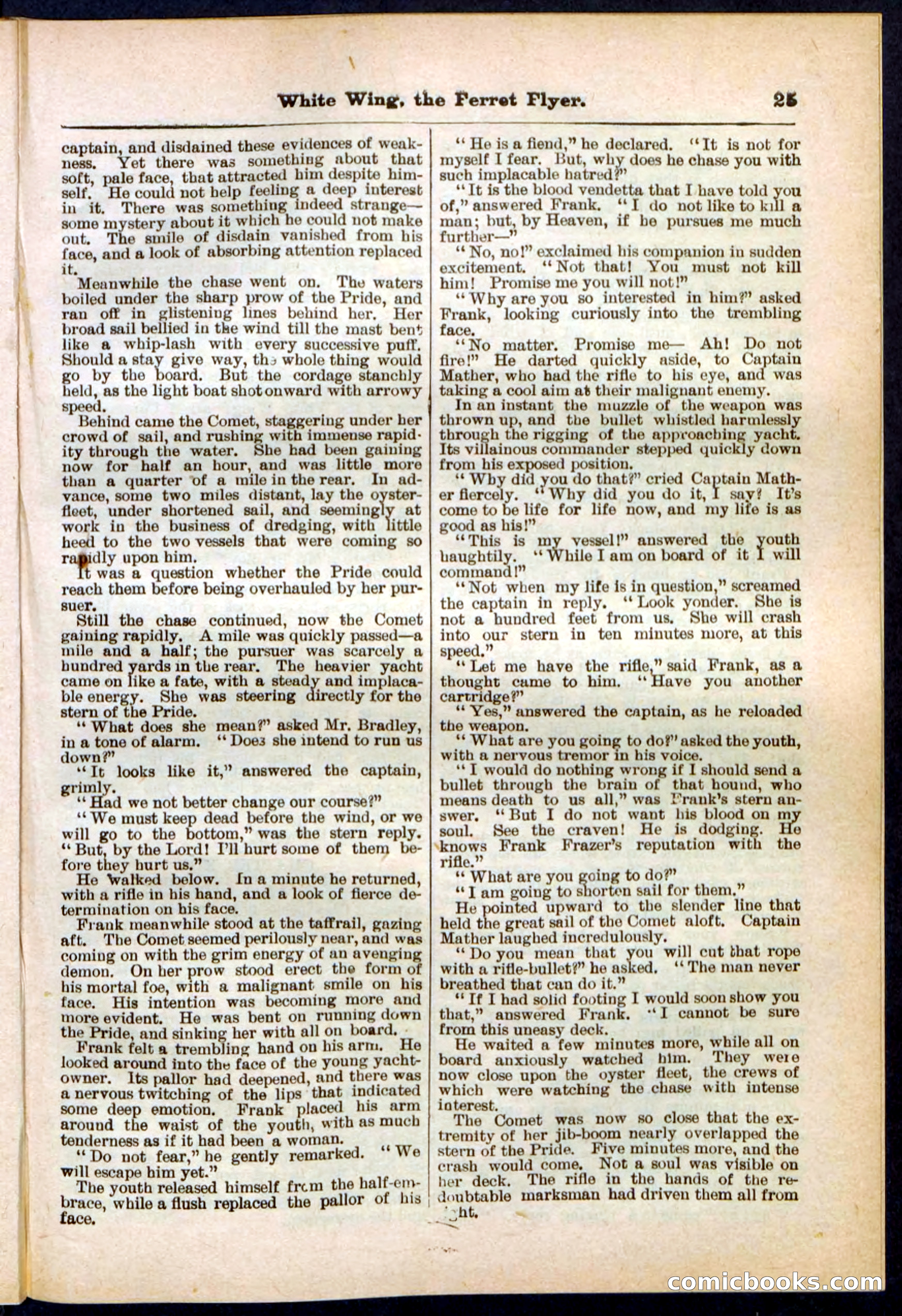 Beadle's Pocket Library No. 295 — page 25 of 32
