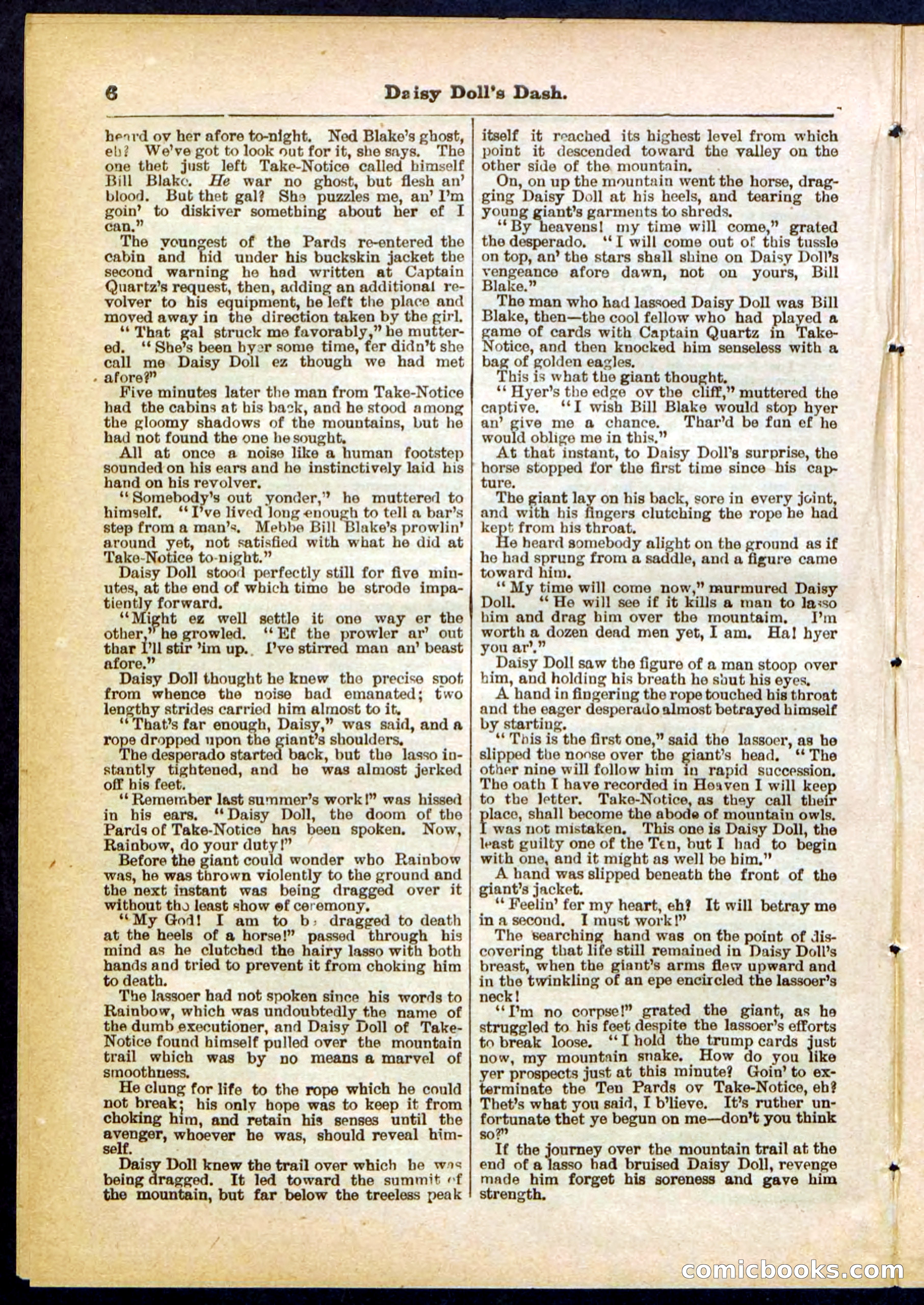 Beadle's Pocket Library No. 298 — page 6 of 32