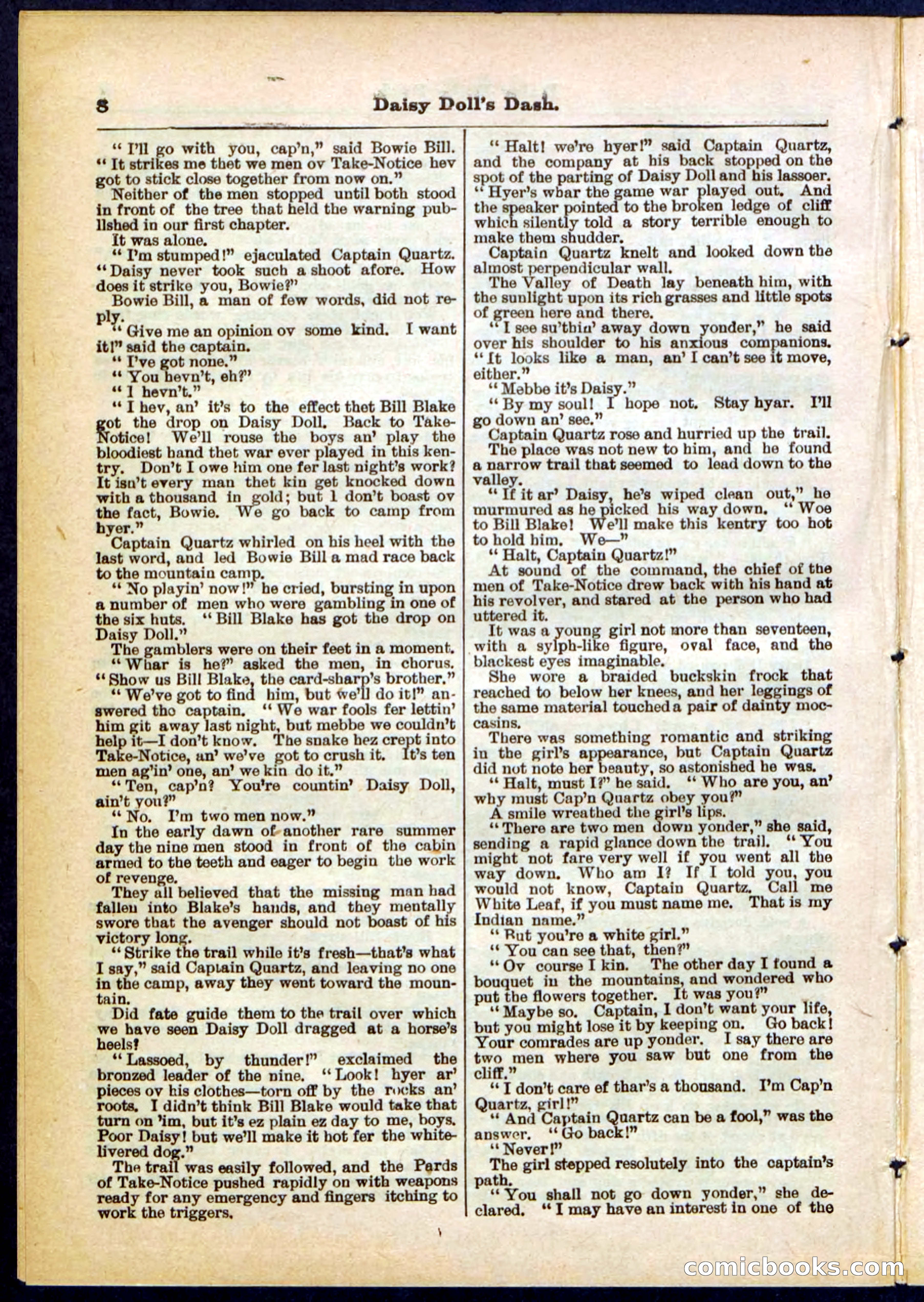 Beadle's Pocket Library No. 298 — page 8 of 32