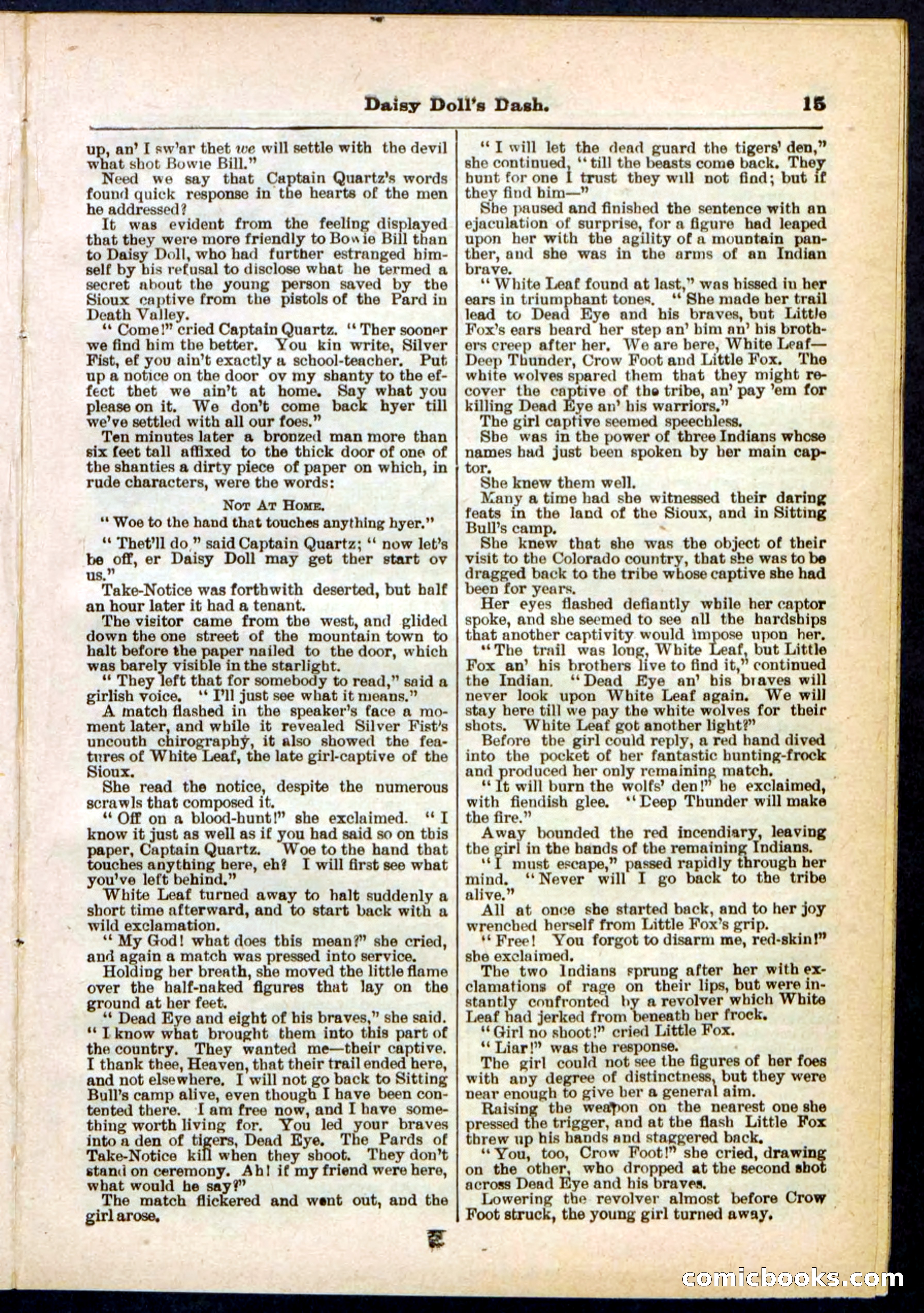 Beadle's Pocket Library No. 298 — page 15 of 32
