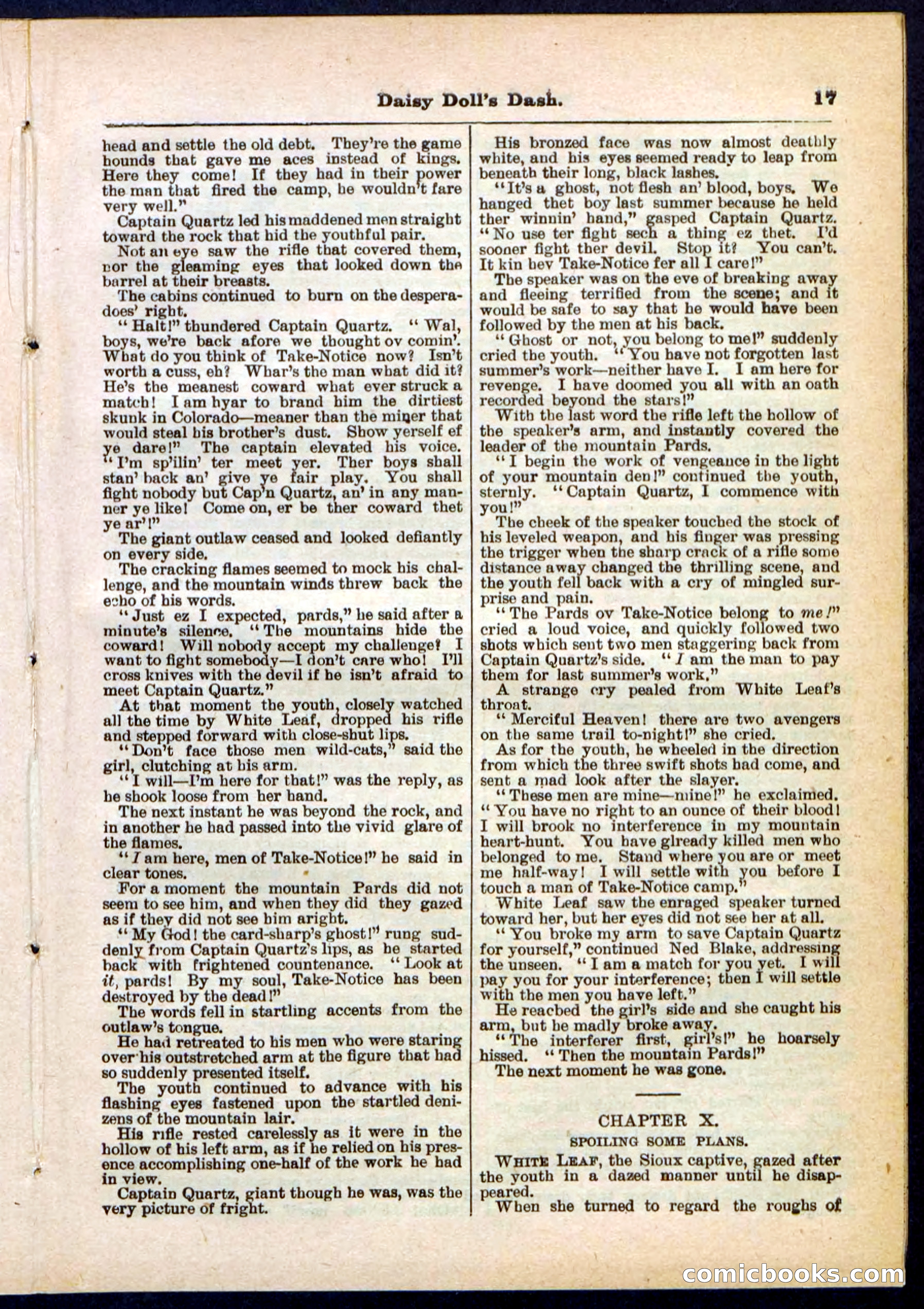 Beadle's Pocket Library No. 298 — page 17 of 32