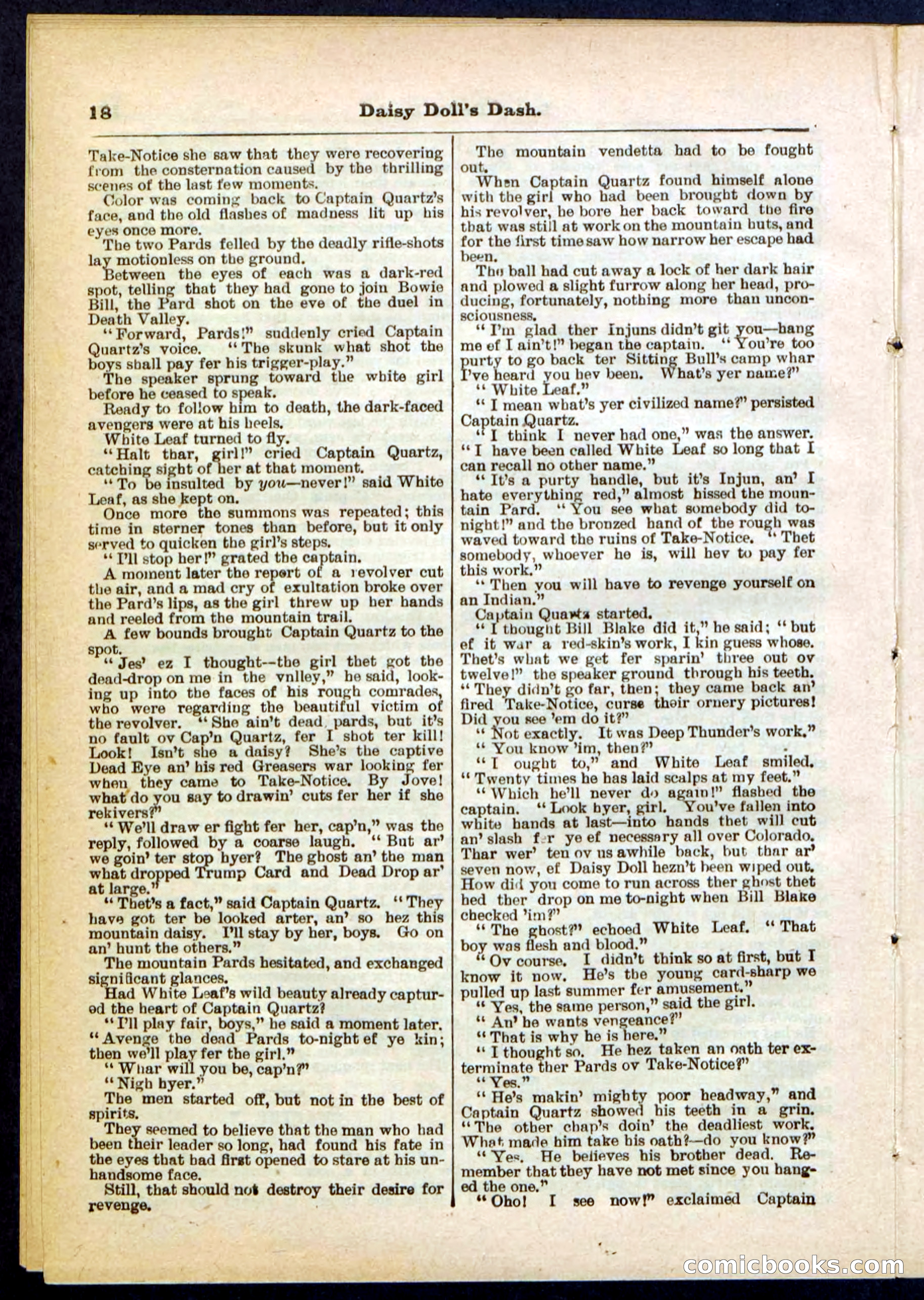 Beadle's Pocket Library No. 298 — page 18 of 32