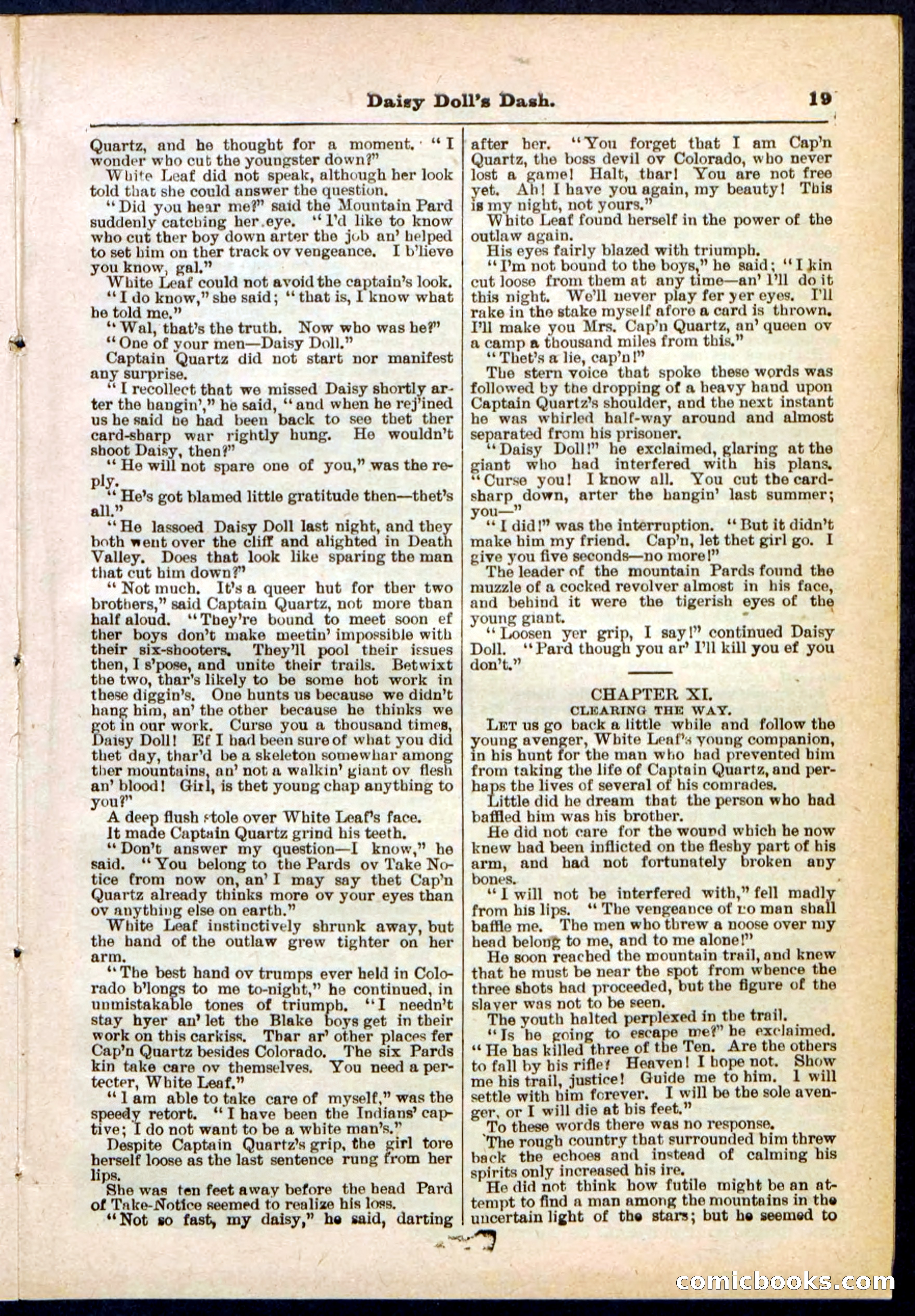 Beadle's Pocket Library No. 298 — page 19 of 32