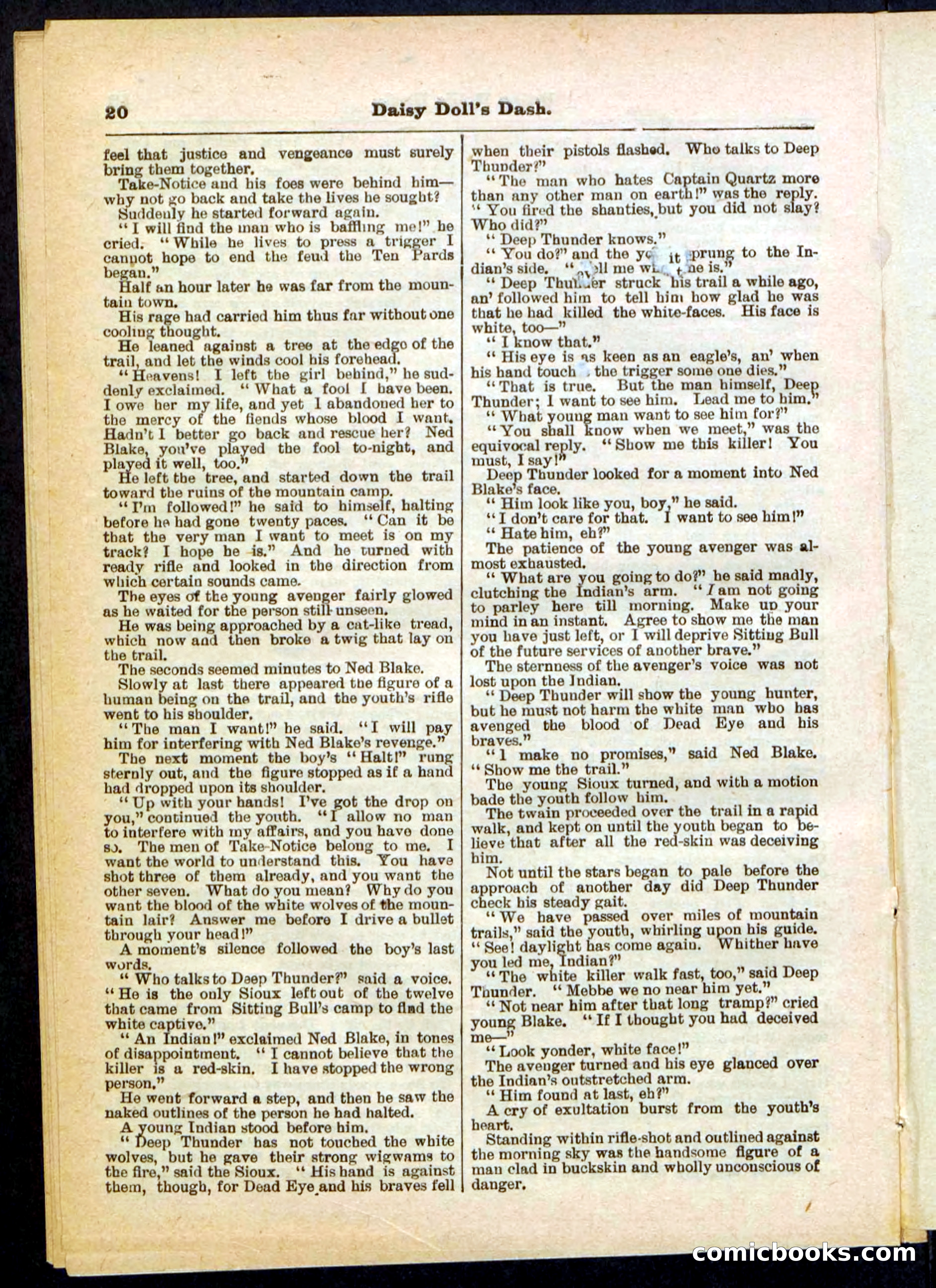 Beadle's Pocket Library No. 298 — page 20 of 32