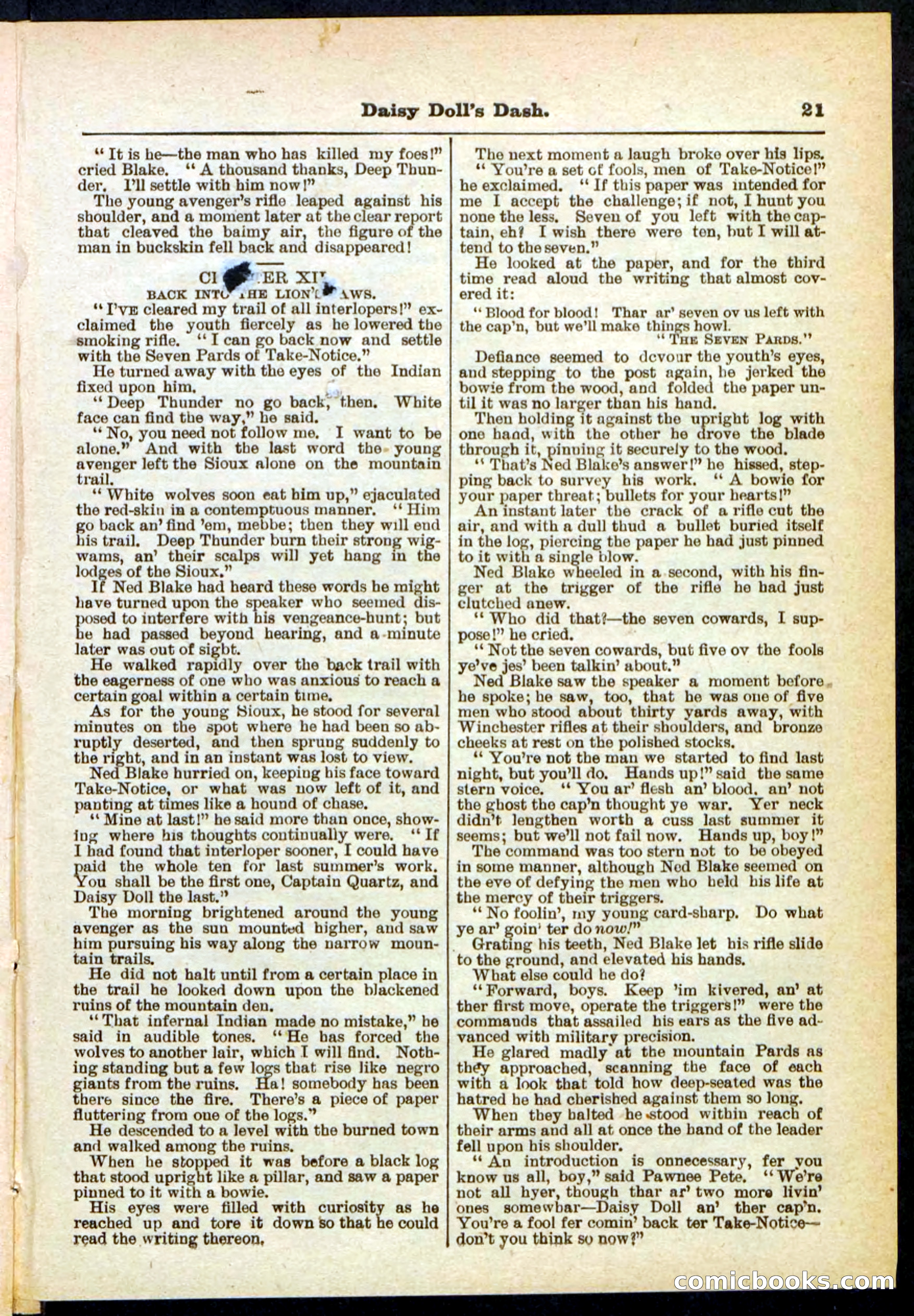 Beadle's Pocket Library No. 298 — page 21 of 32
