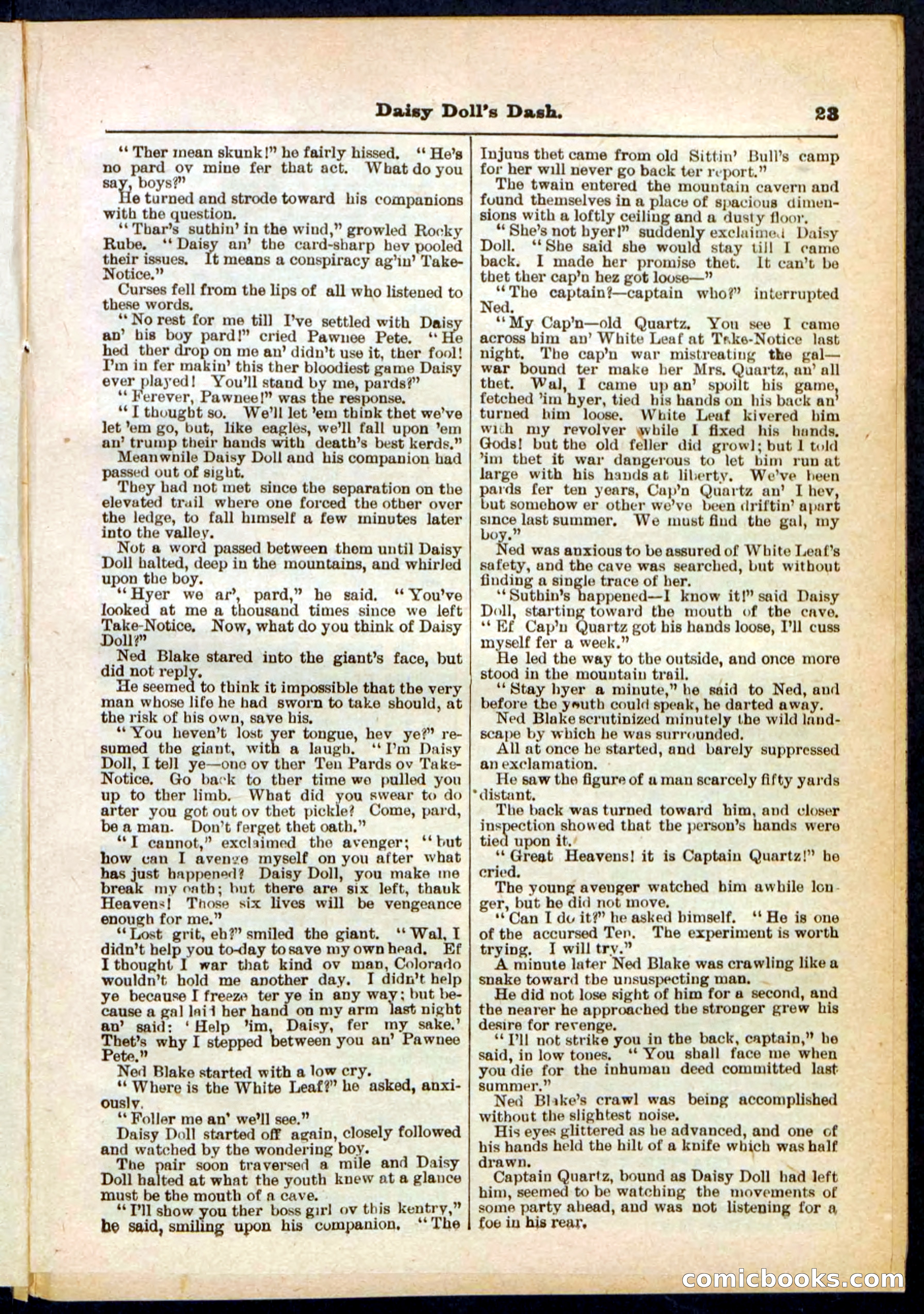 Beadle's Pocket Library No. 298 — page 23 of 32