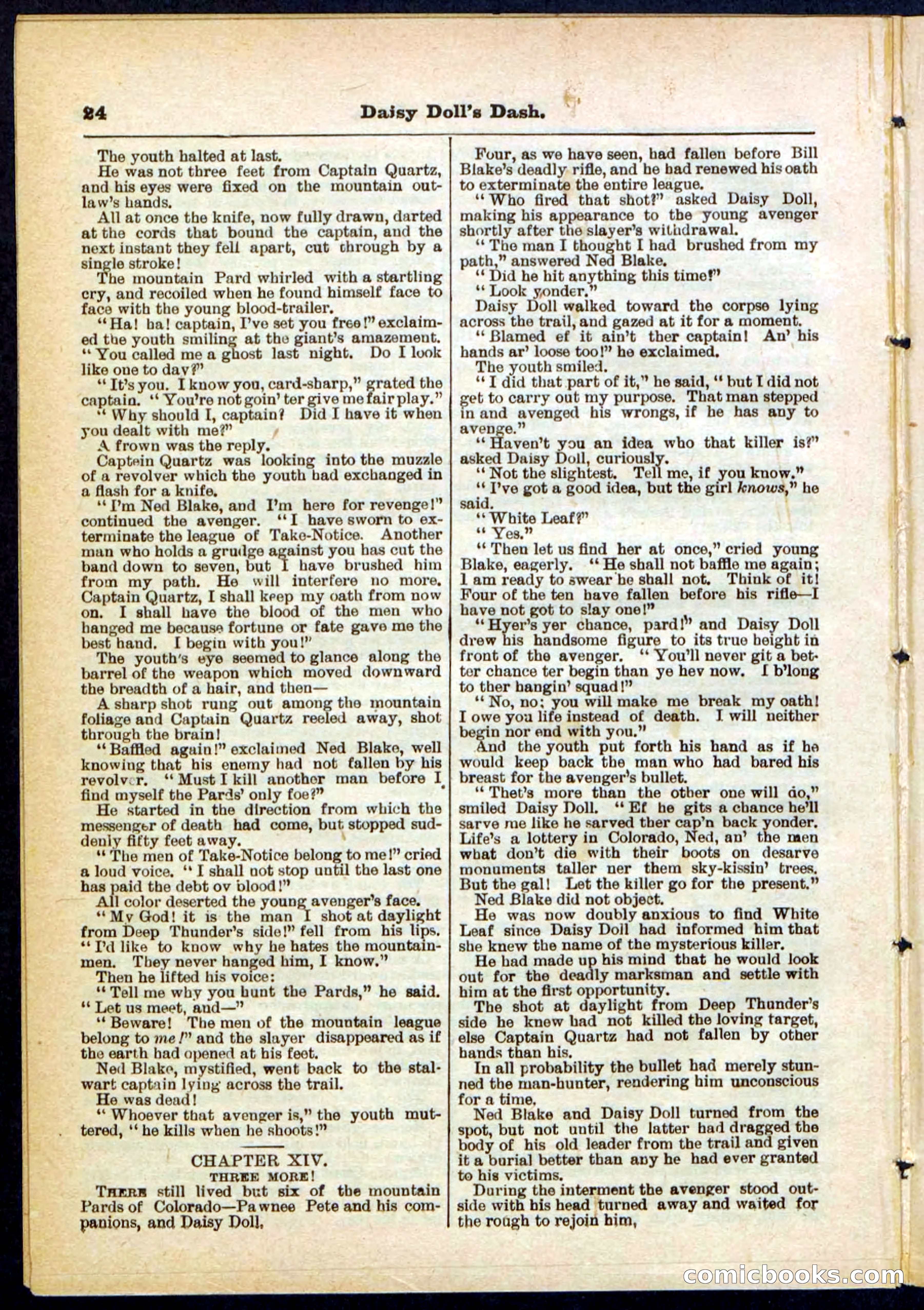 Beadle's Pocket Library No. 298 — page 24 of 32