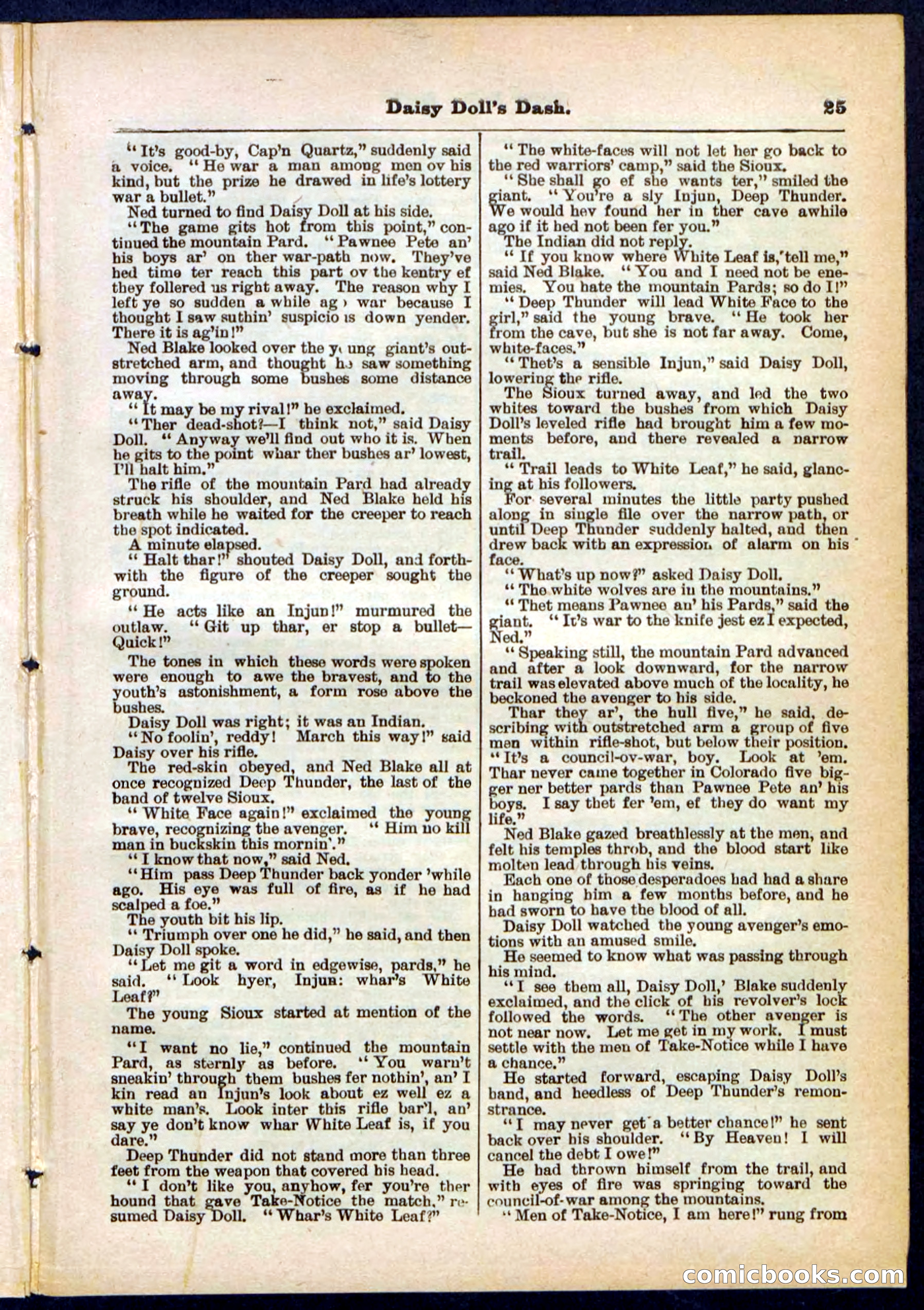 Beadle's Pocket Library No. 298 — page 25 of 32