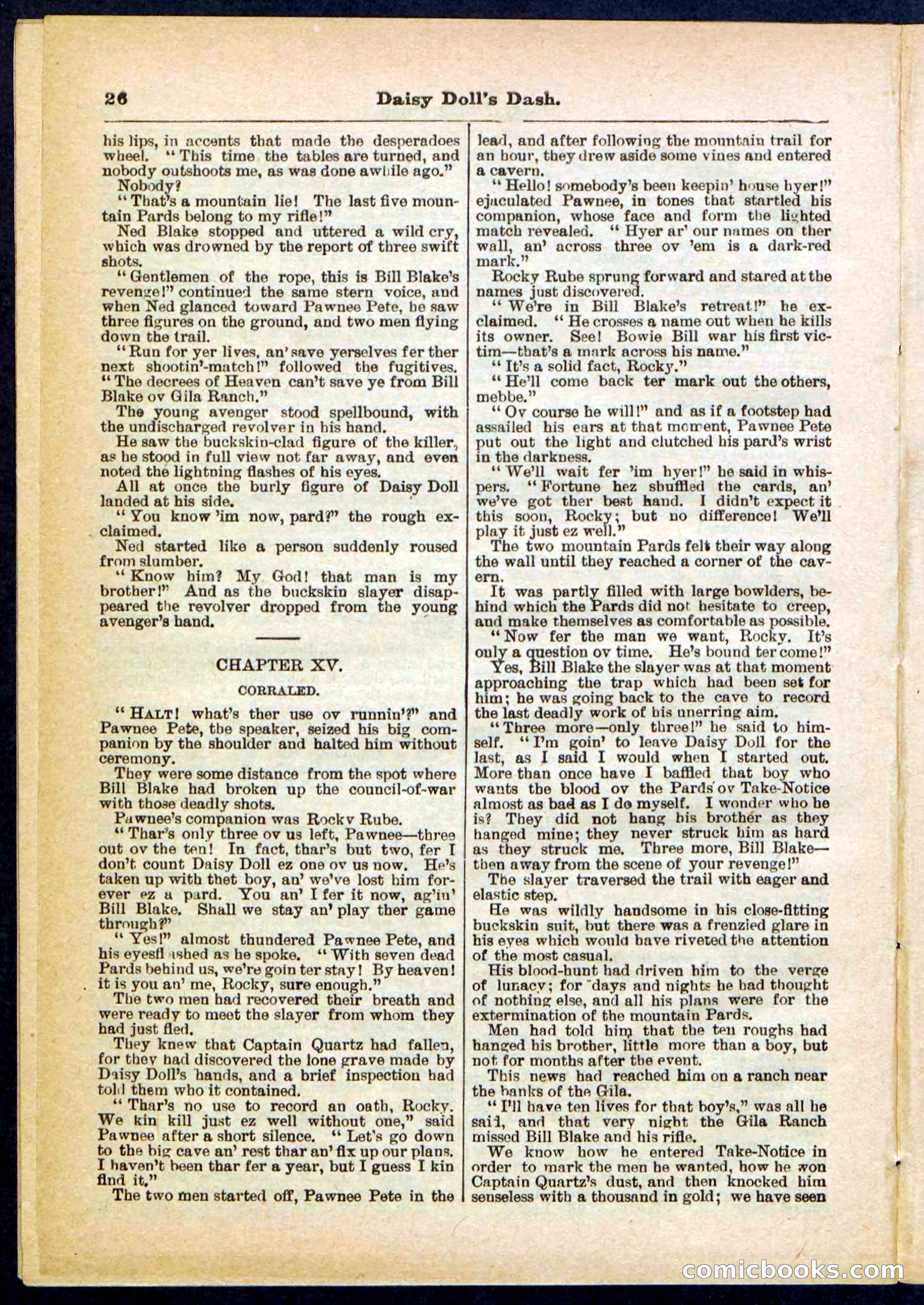 Beadle's Pocket Library No. 298 — page 26 of 32