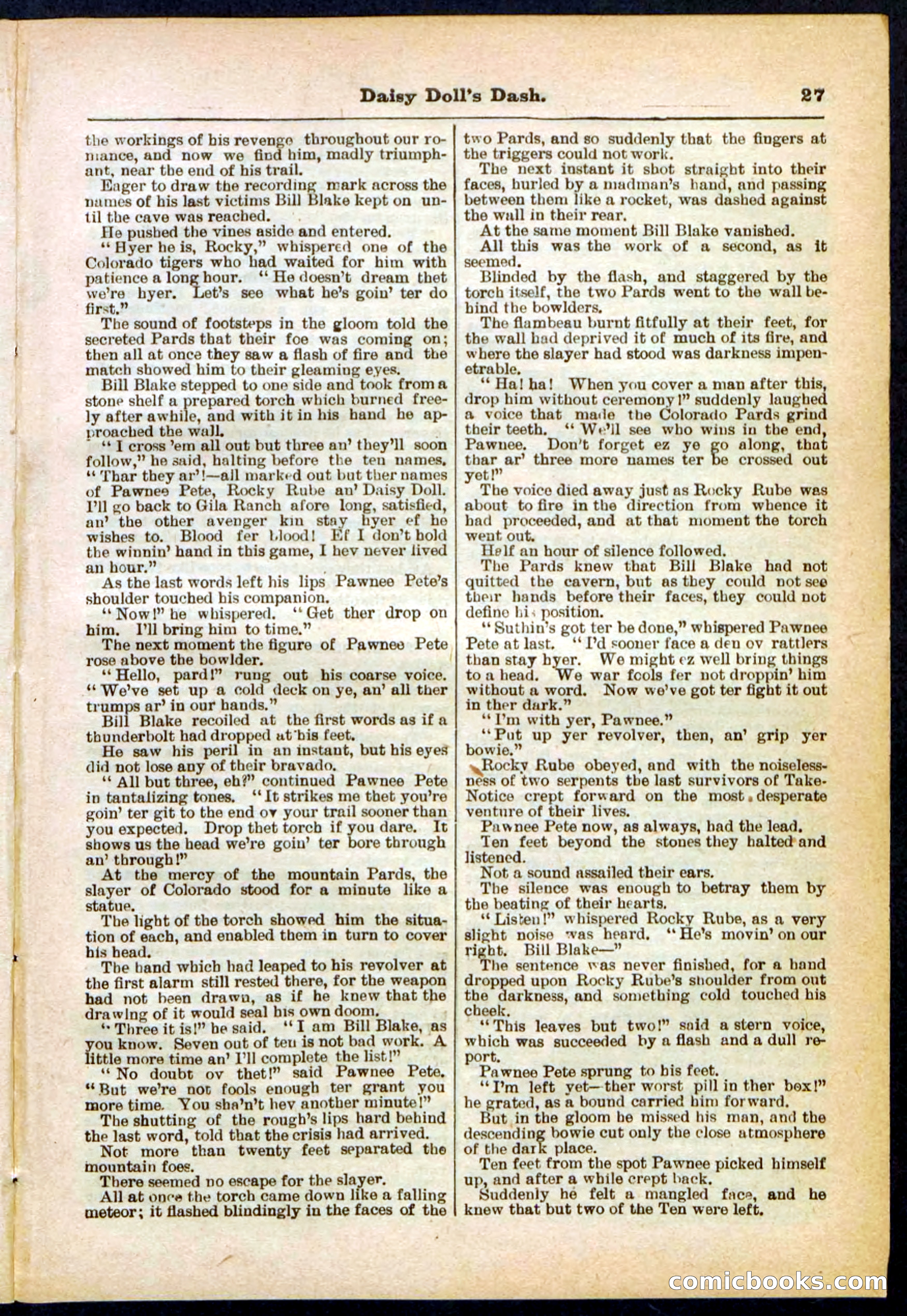 Beadle's Pocket Library No. 298 — page 27 of 32