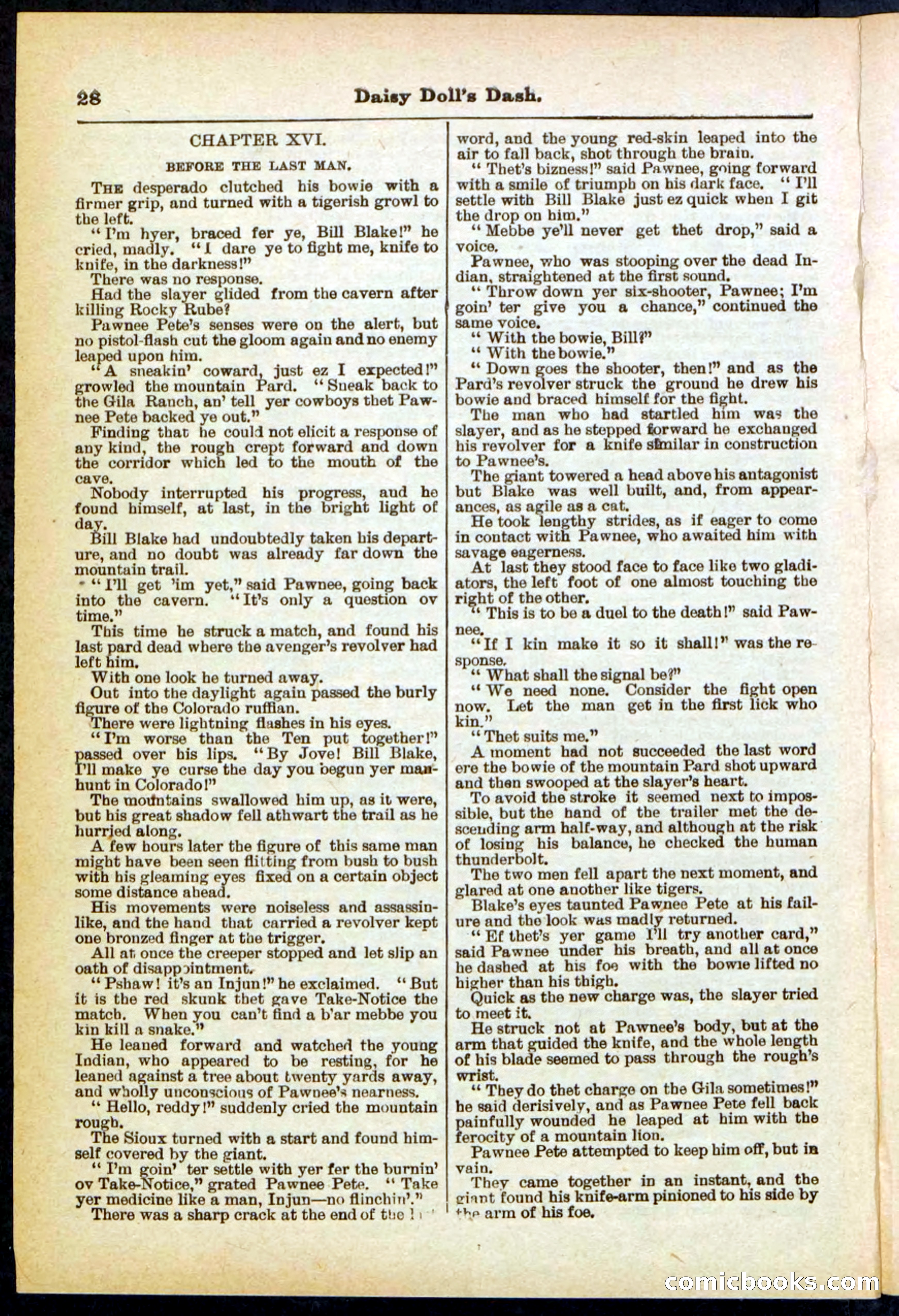 Beadle's Pocket Library No. 298 — page 28 of 32