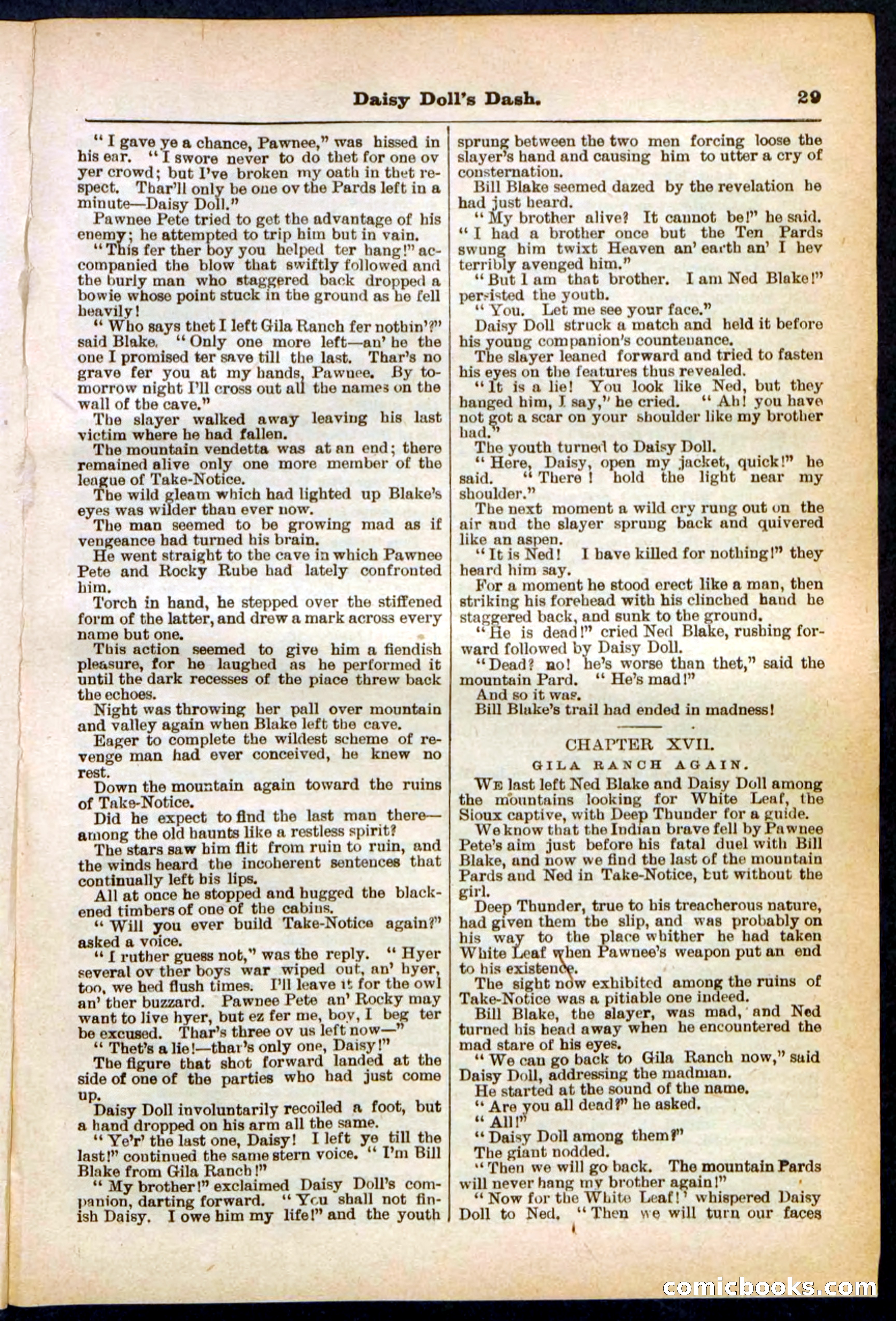 Beadle's Pocket Library No. 298 — page 29 of 32