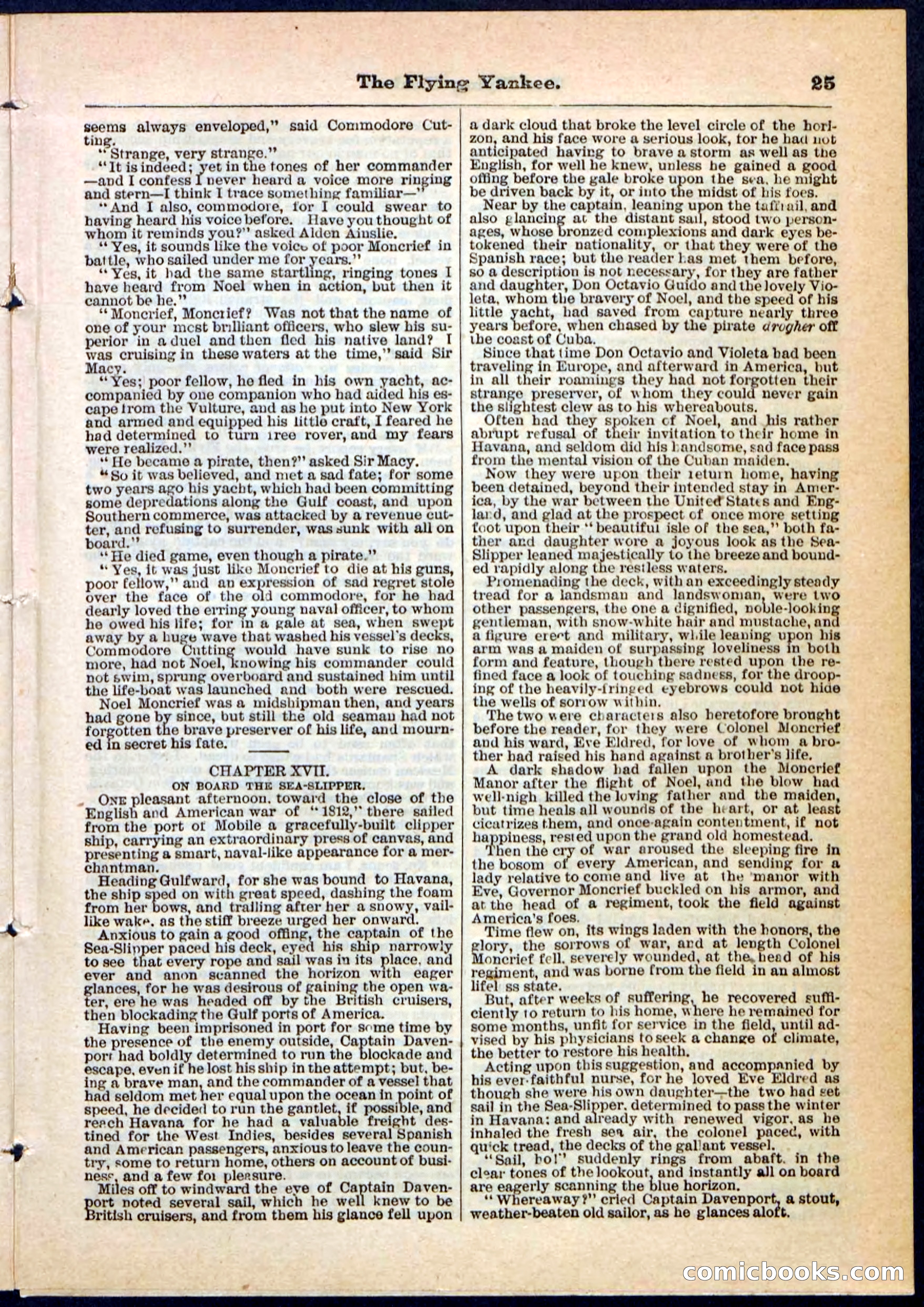 The Flying Yankee; or, The Ocean Outcast — page 25 of 32