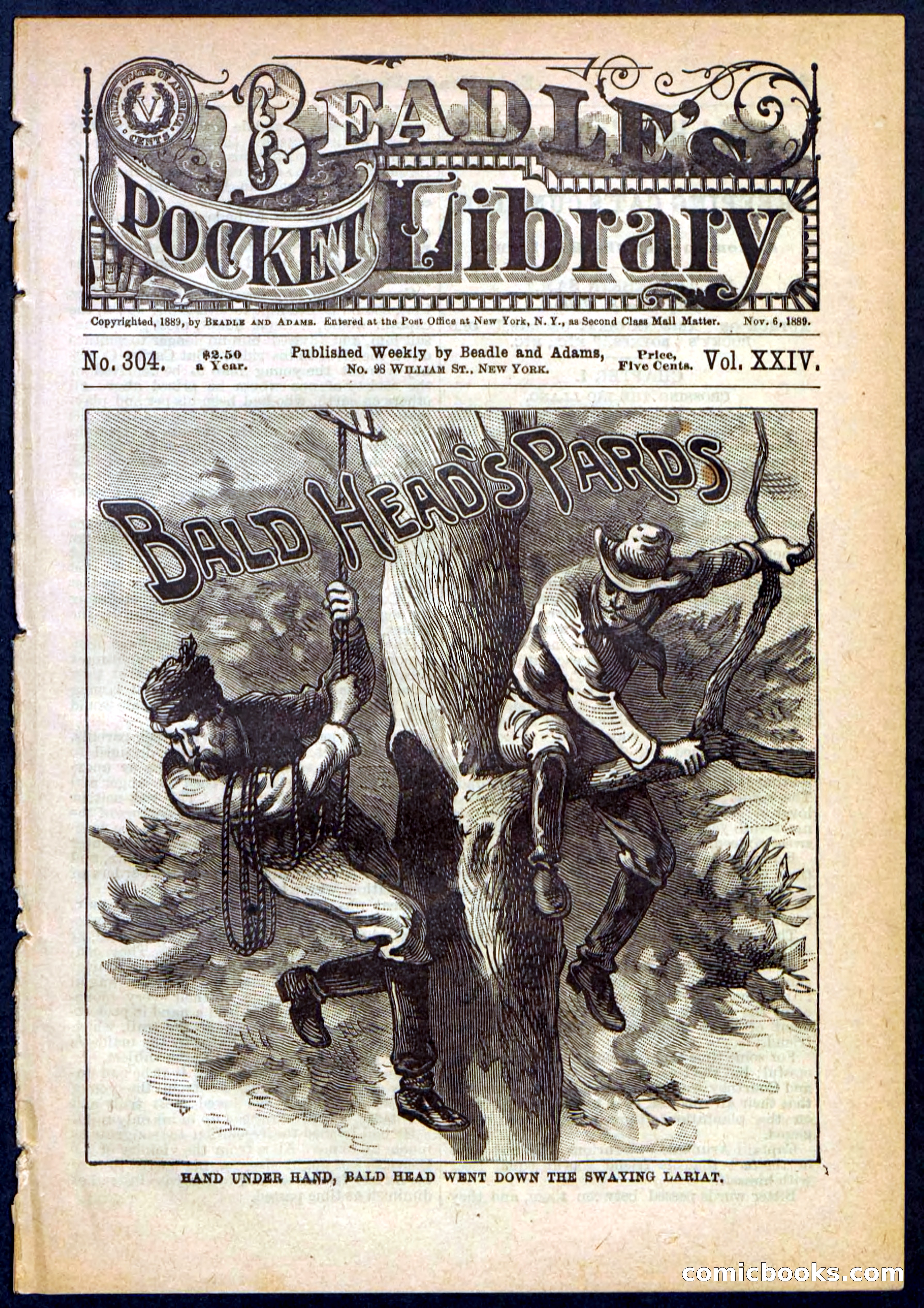 Beadle's Pocket Library No. 304