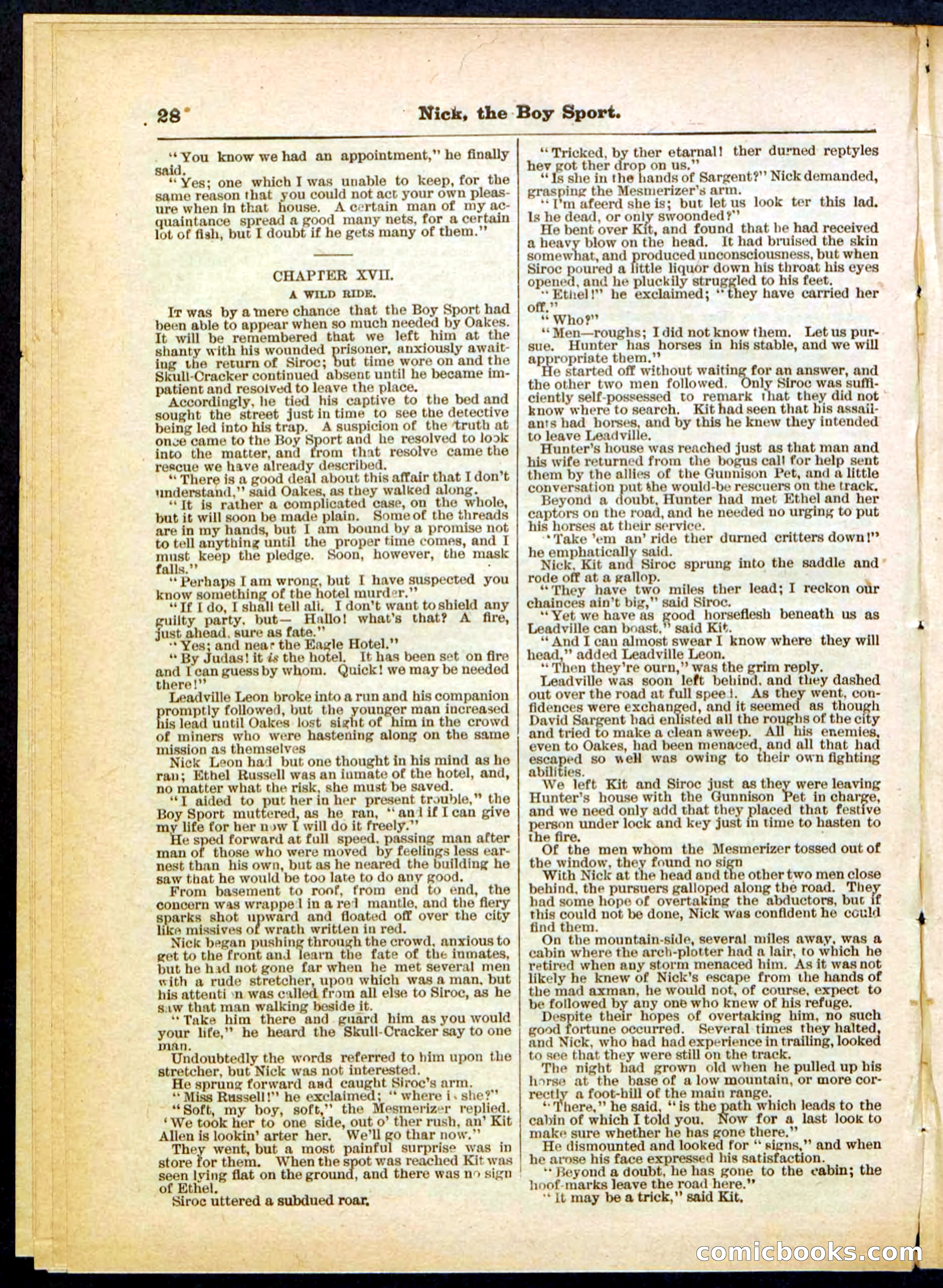Beadle's Pocket Library, No. 307 — page 28 of 32