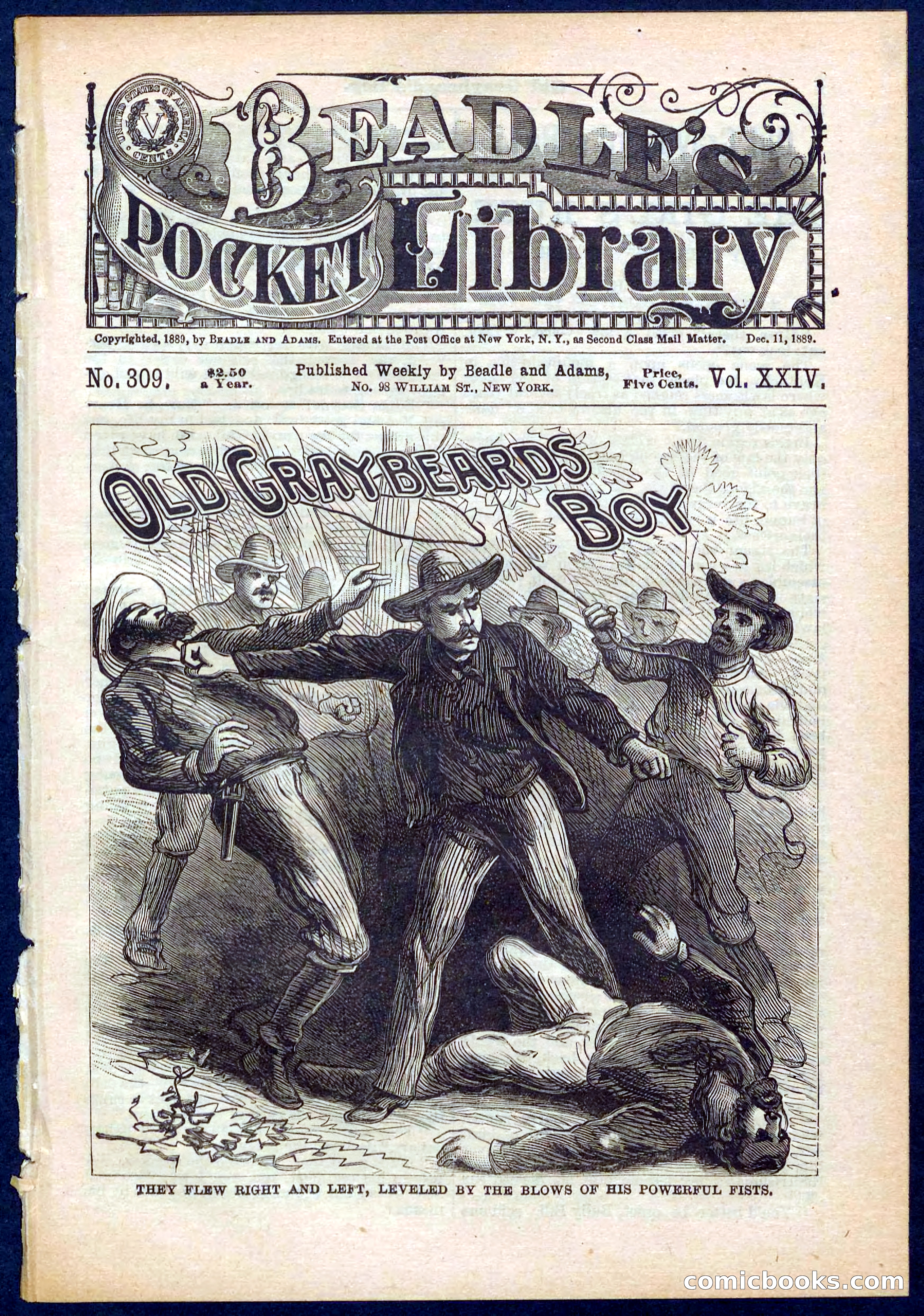 Beadle's Pocket Library No. 309