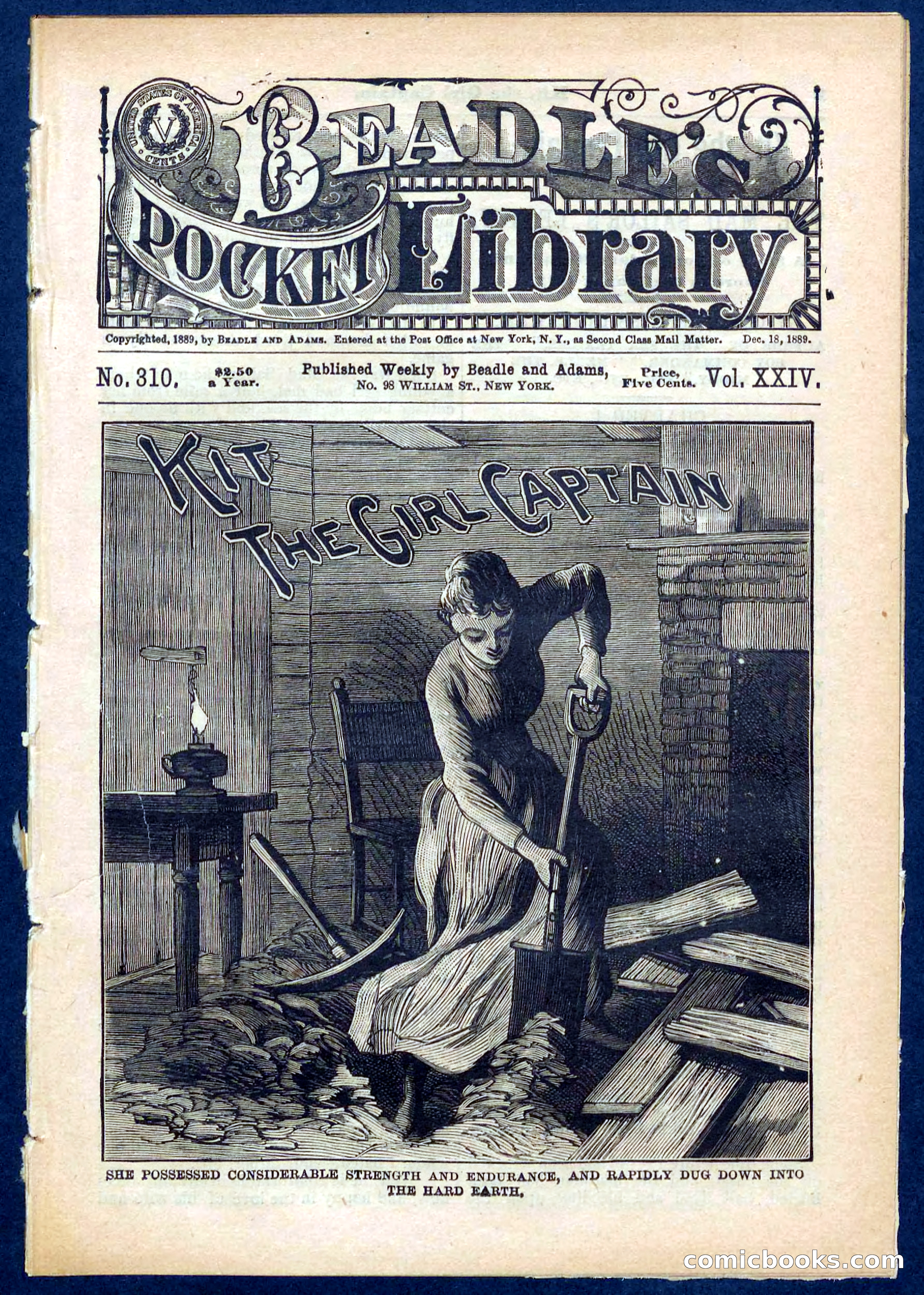 Beadle's Pocket Library No. 310