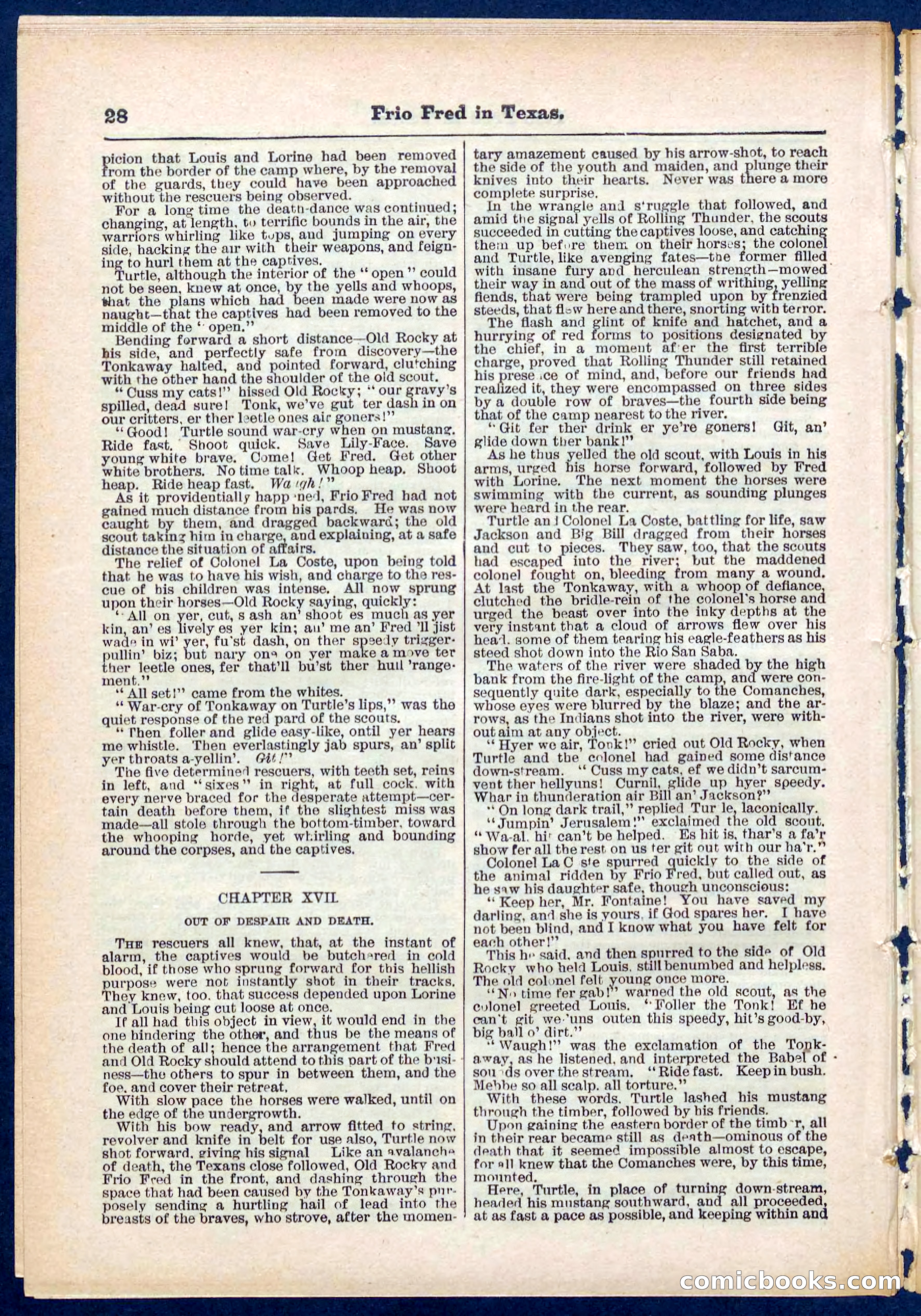 Beadle's Pocket Library No. 311 — page 28 of 32