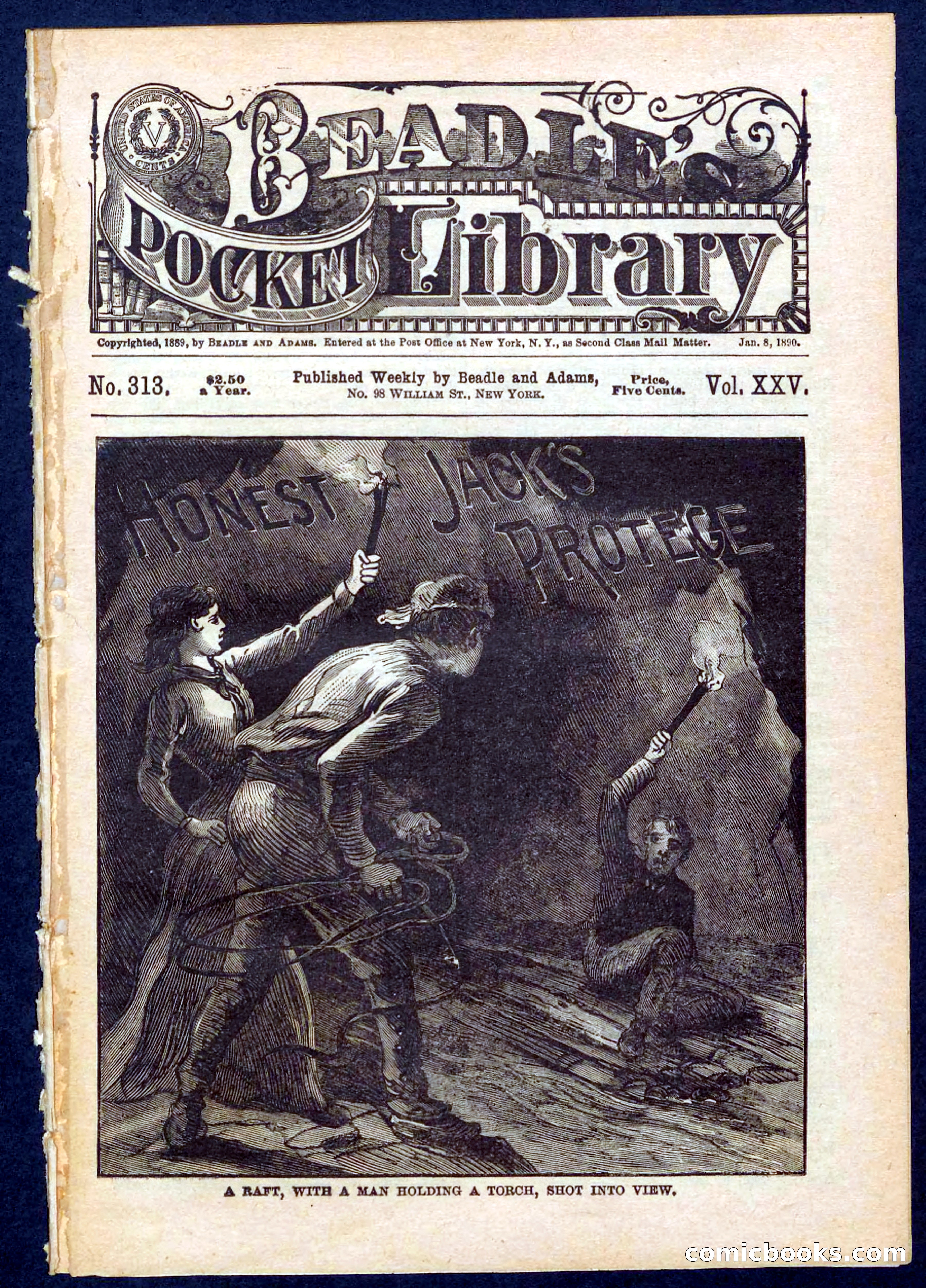 Beadle's Pocket Library No. 313
