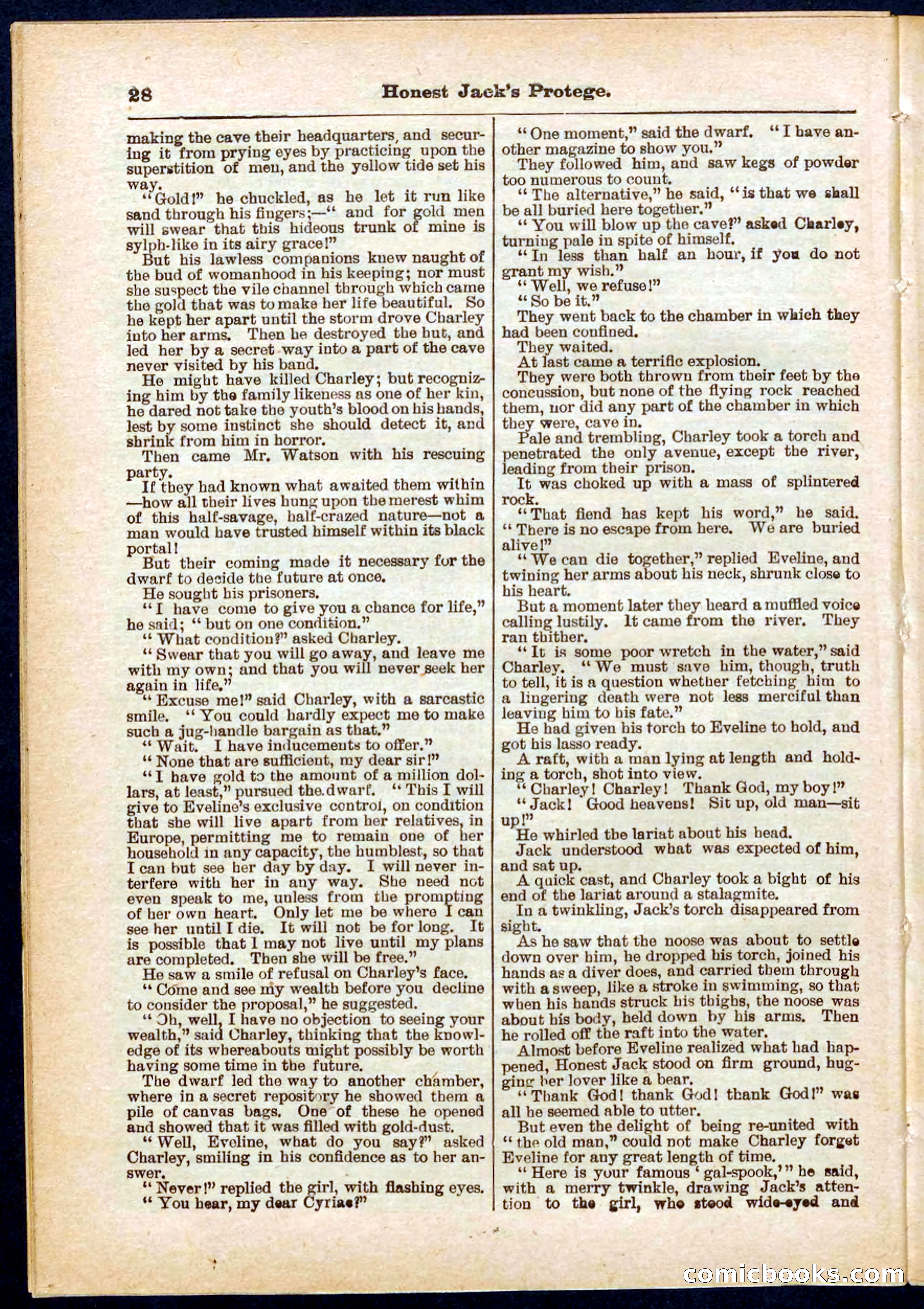Beadle's Pocket Library No. 313 — page 28 of 32