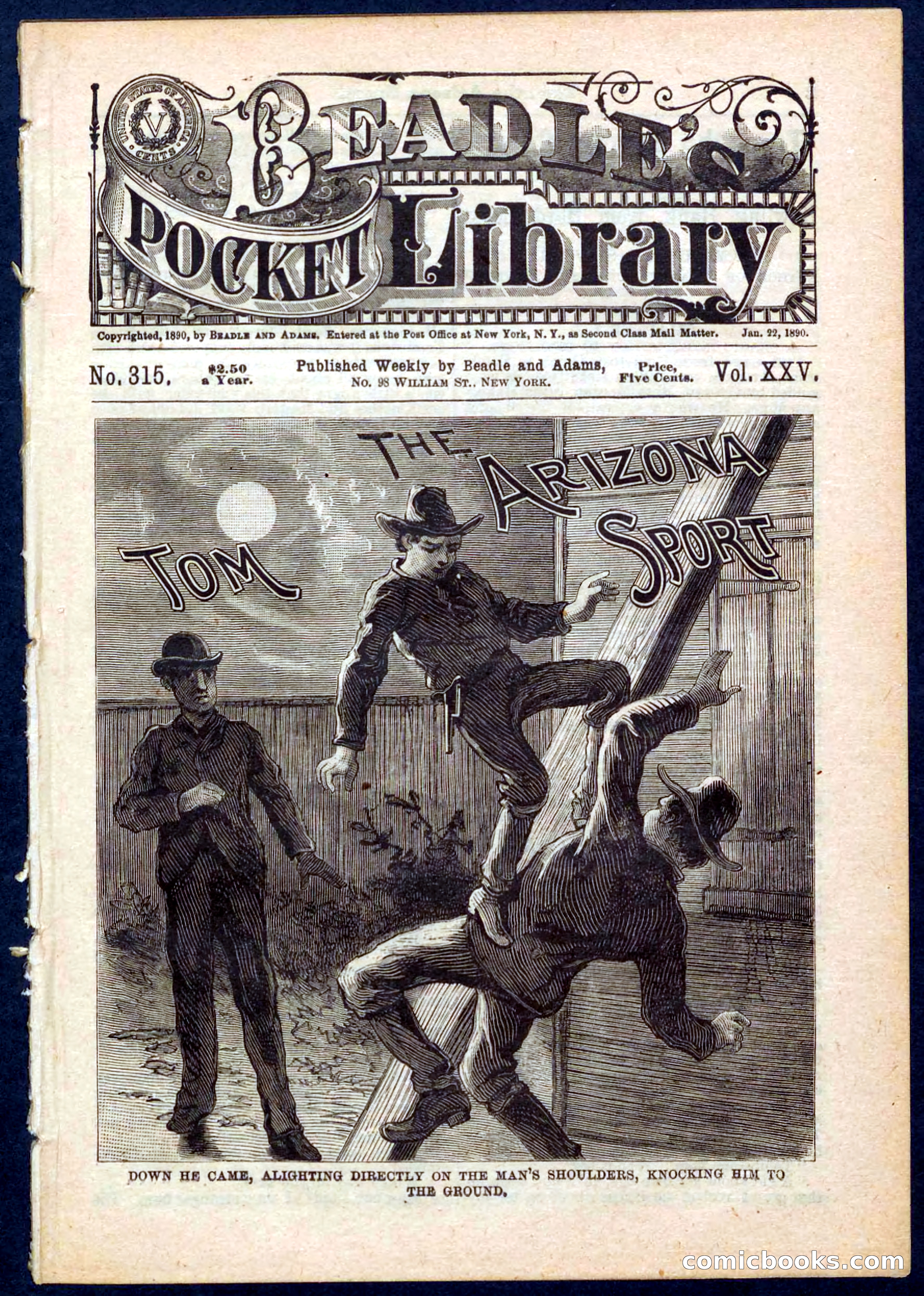 Beadle's Pocket Library No. 315