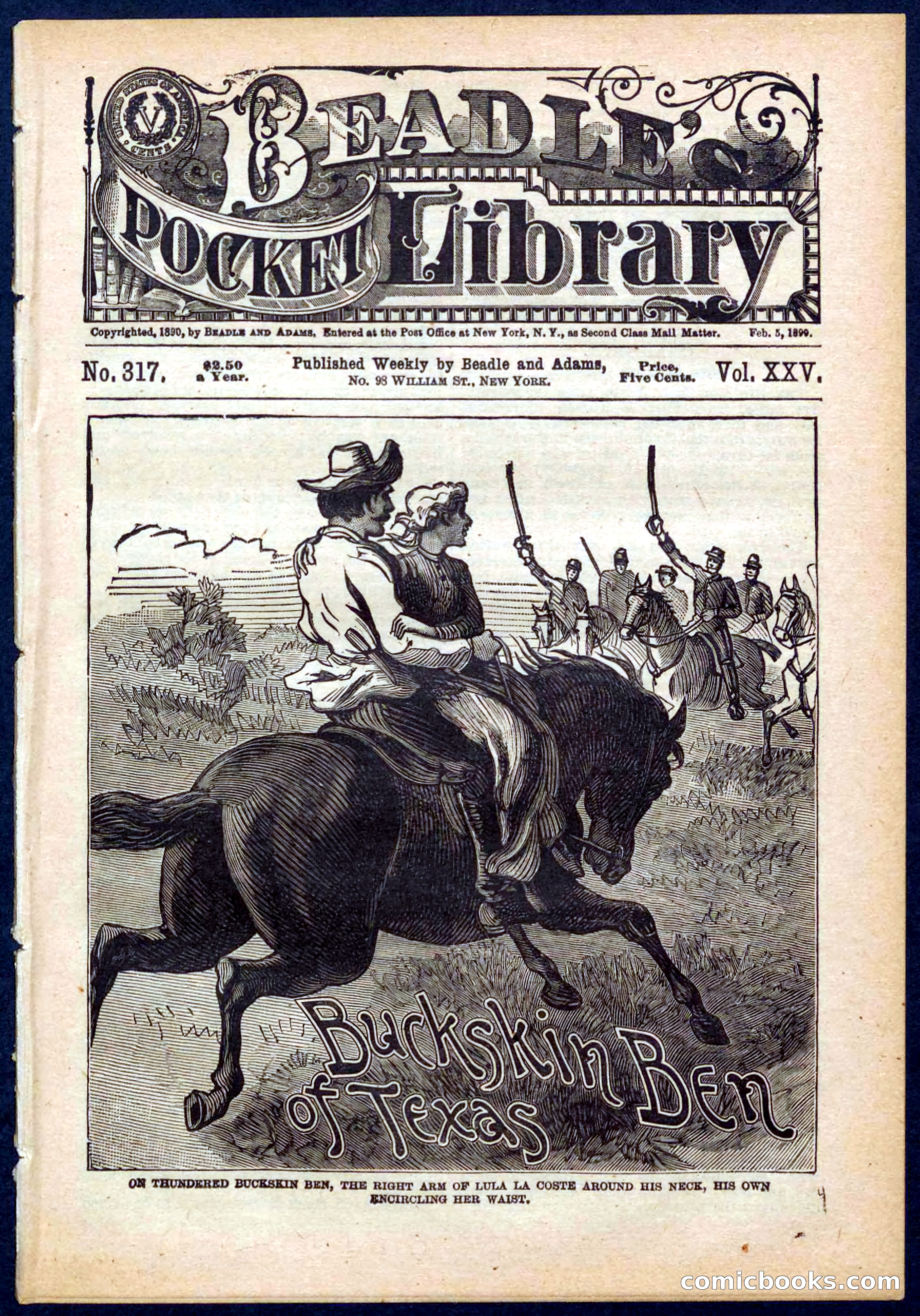 Beadle's Pocket Library No. 317